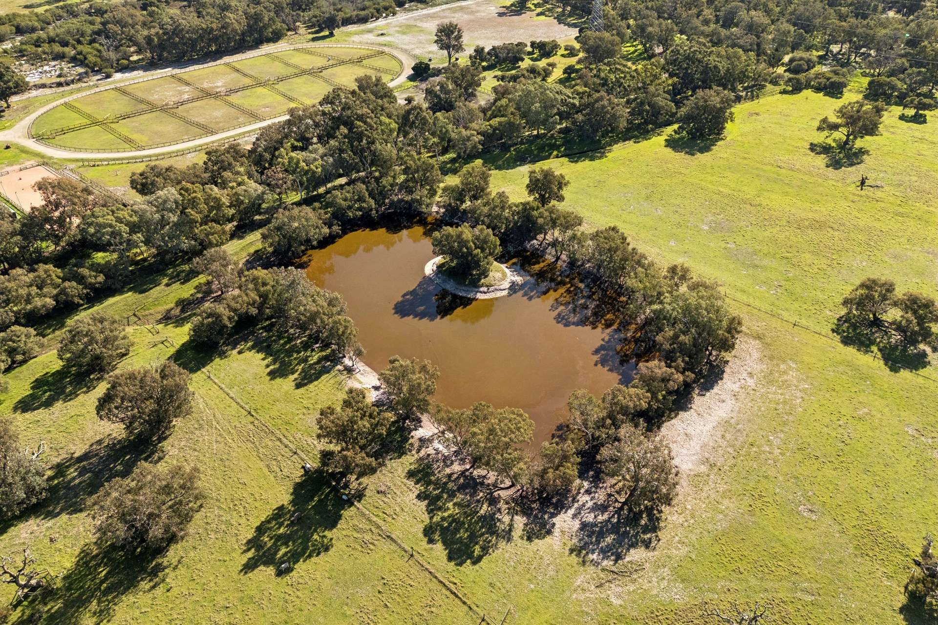 1653 Thomas Road, Oakford For Sale by Farmbuy.com - image 19