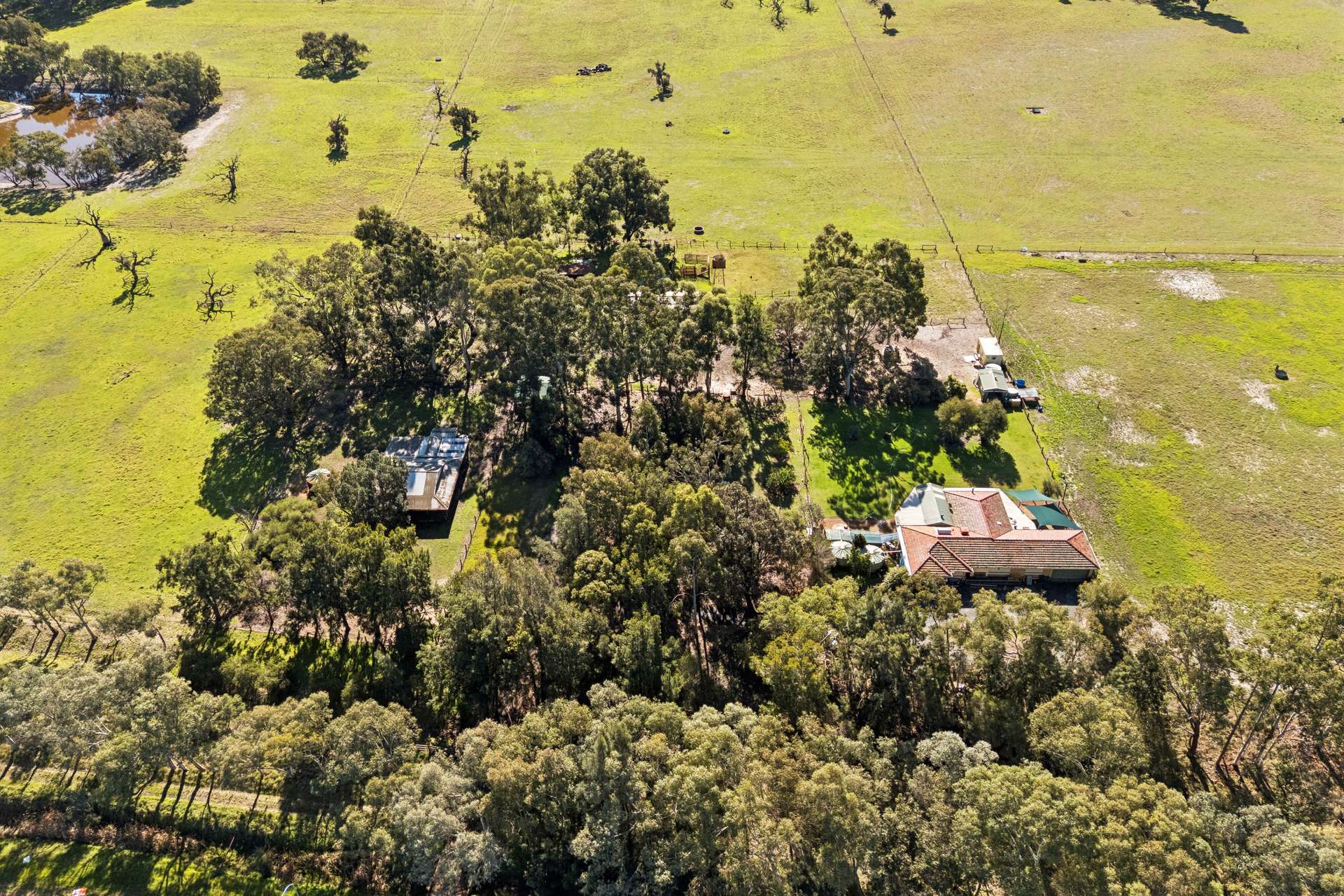 1653 Thomas Road, Oakford For Sale by Farmbuy.com - image 3