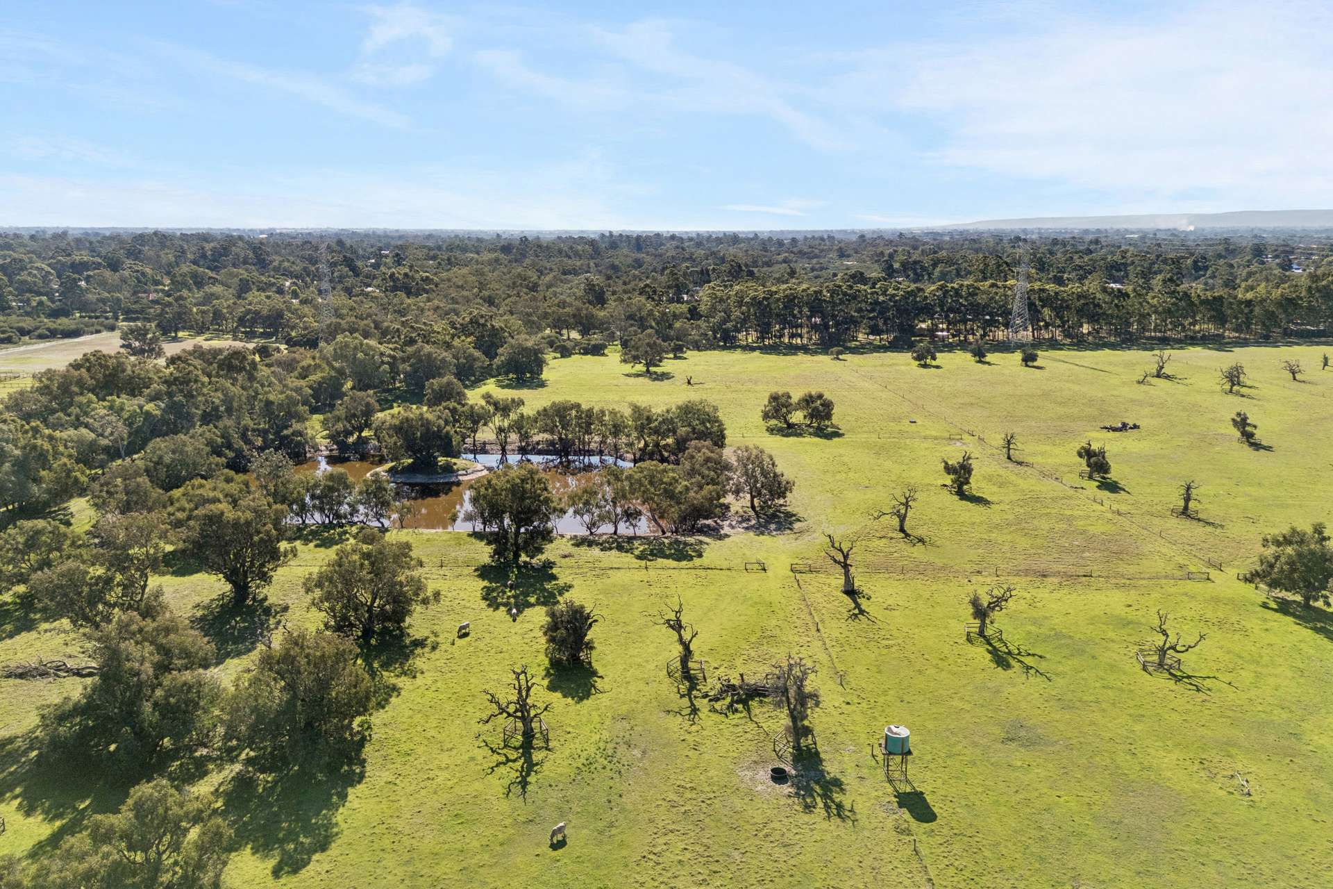 1653 Thomas Road, Oakford For Sale by Farmbuy.com - image 18