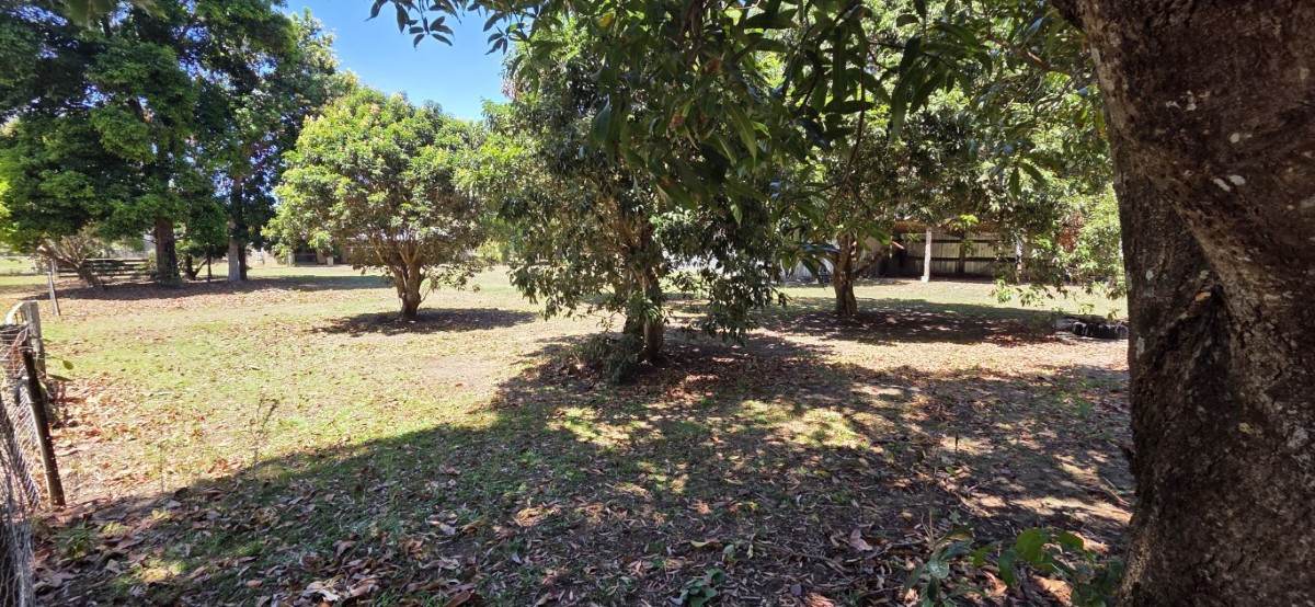237 Beatts Road, Forrest Beach For Sale by Farmbuy.com - image 23