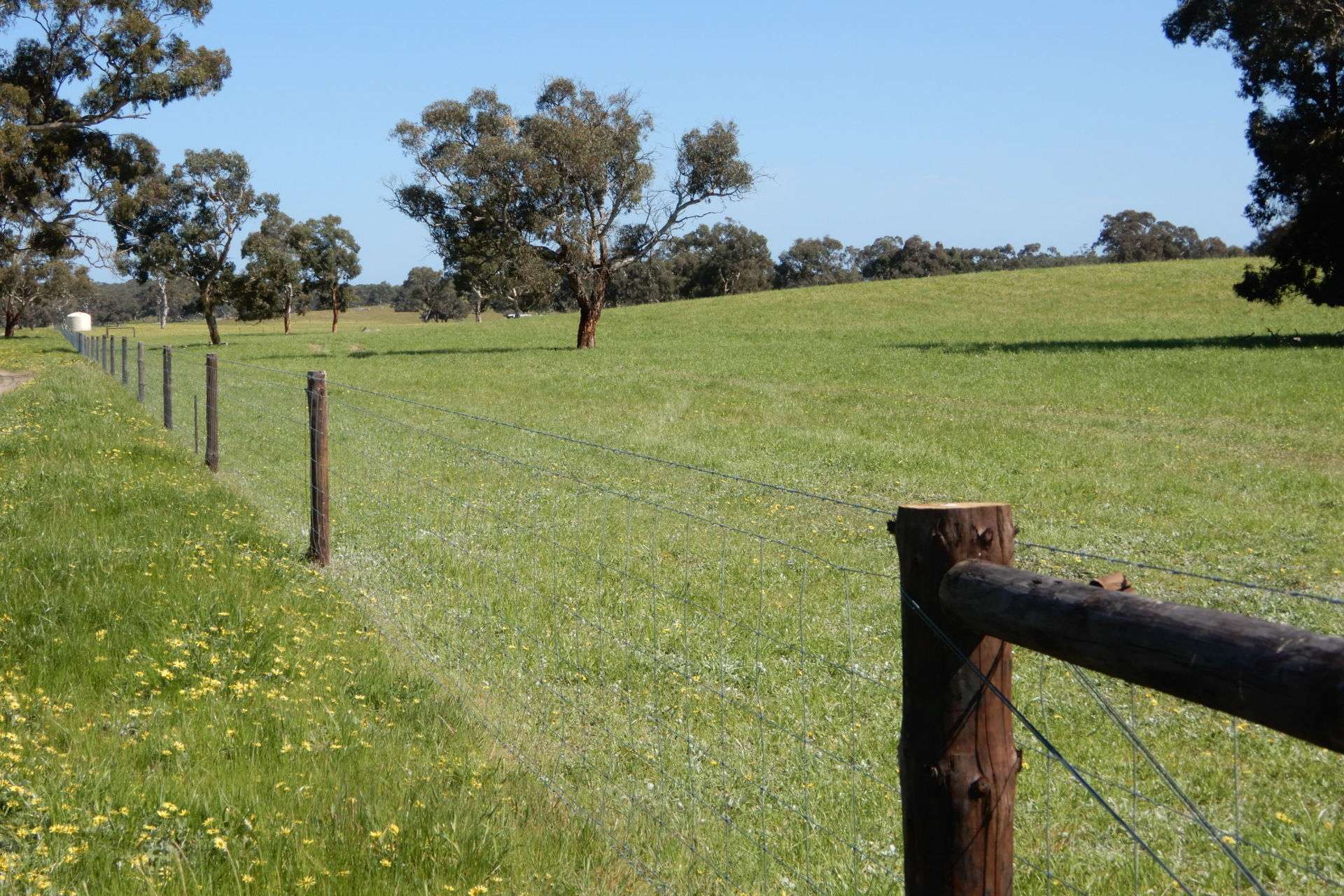 3692 Riddoch Highway, Willalooka For Sale by Farmbuy.com - image 2