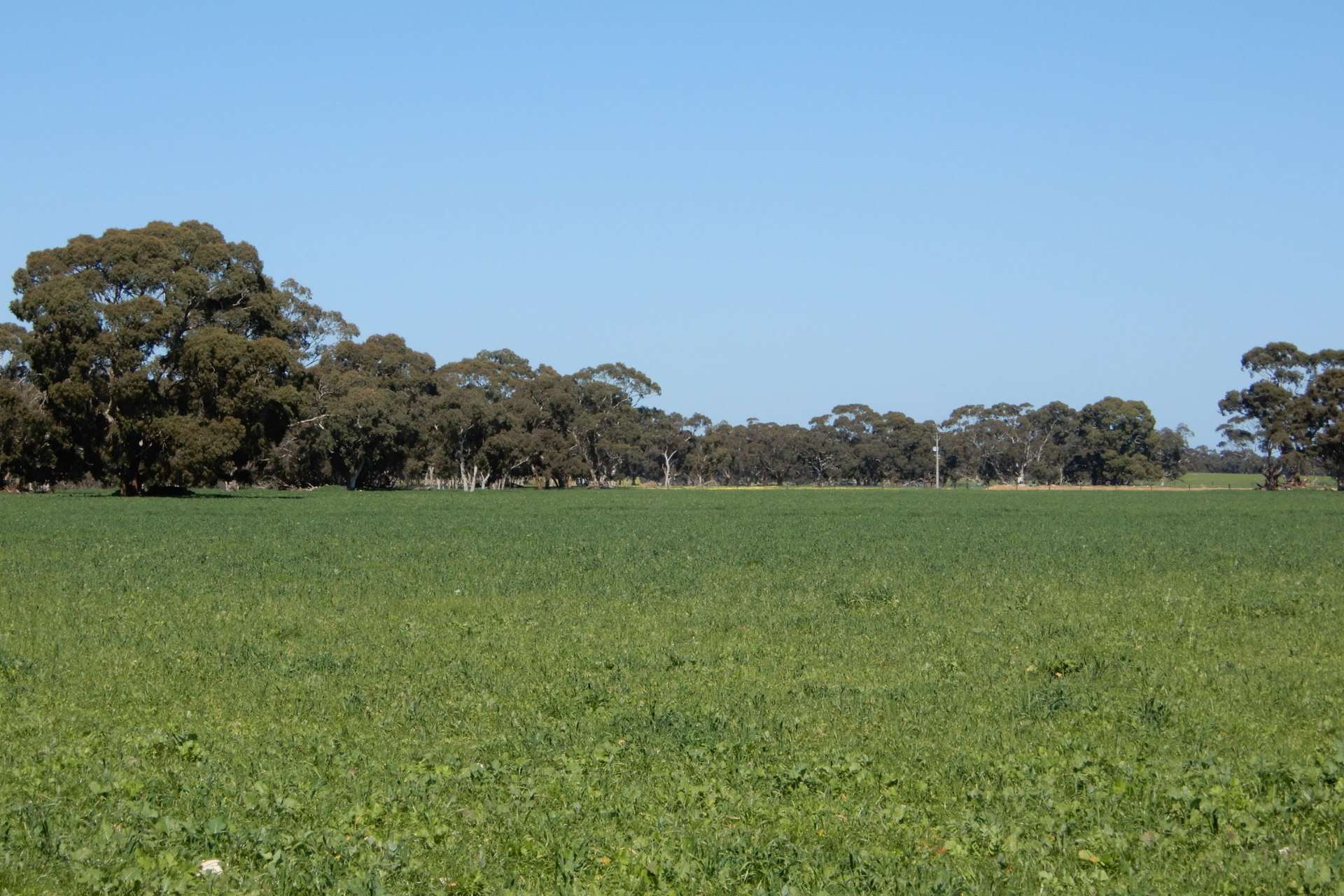 3692 Riddoch Highway, Willalooka For Sale by Farmbuy.com - image 10