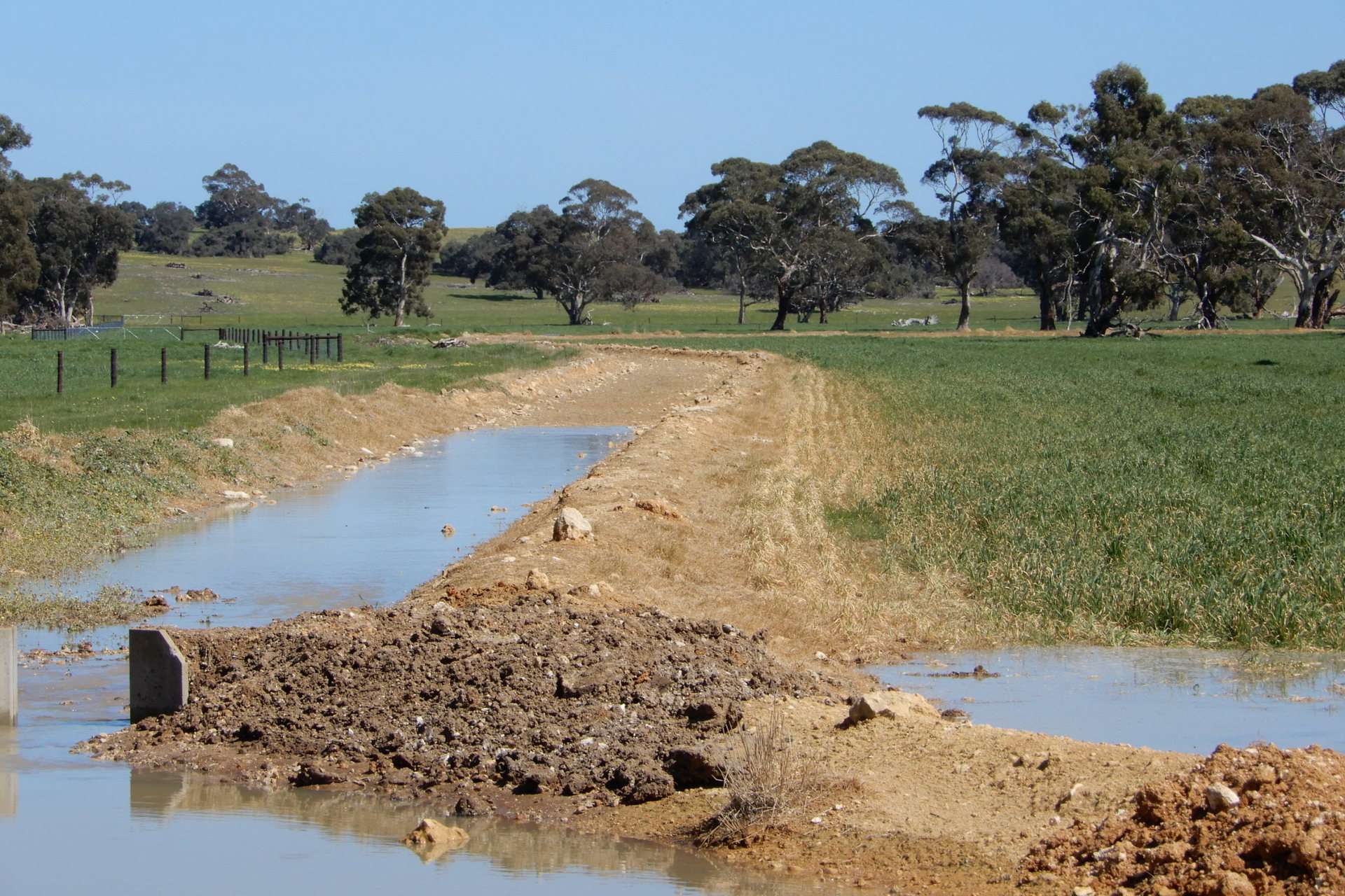 3692 Riddoch Highway, Willalooka For Sale by Farmbuy.com - image 16