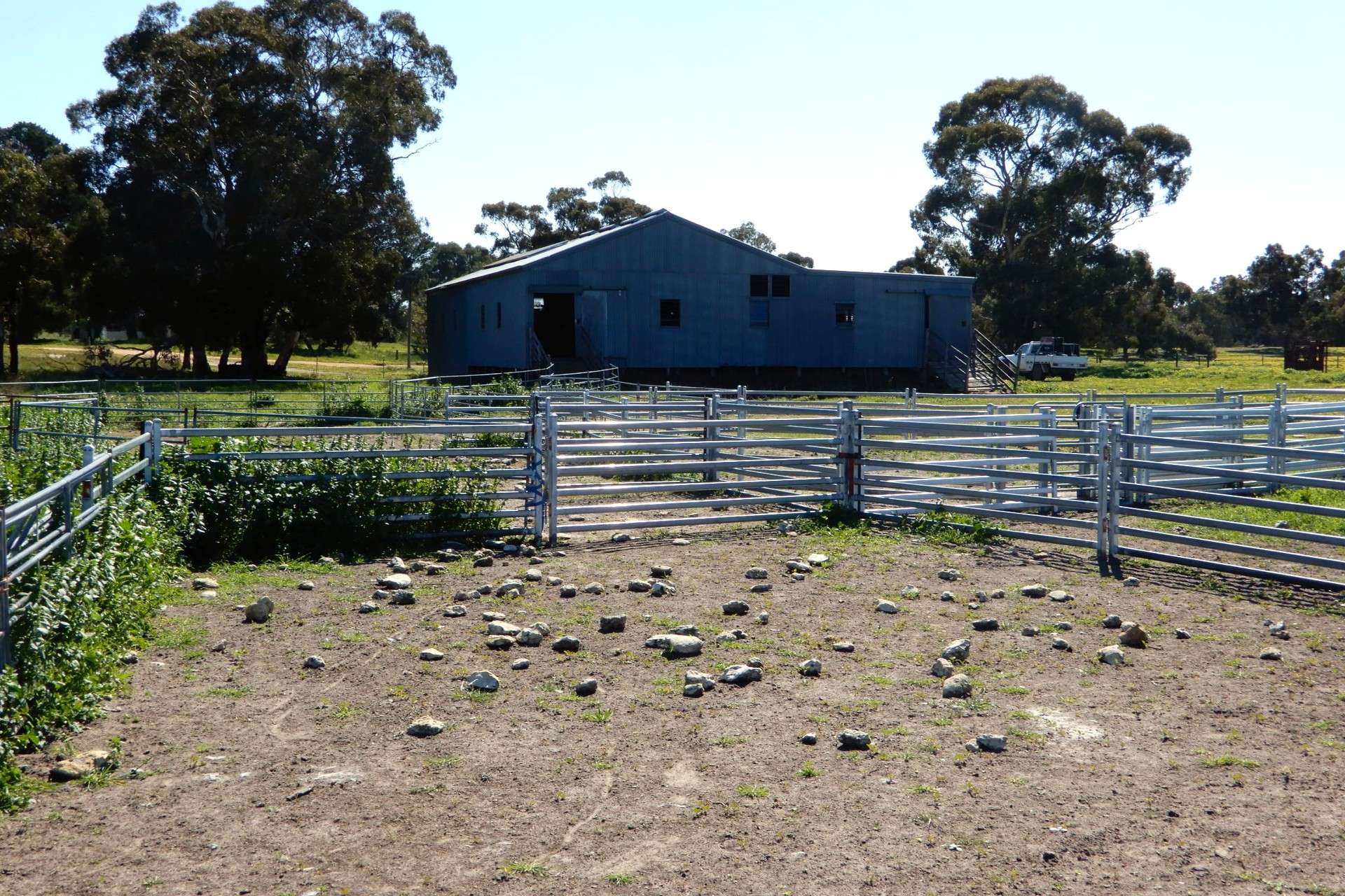 3692 Riddoch Highway, Willalooka For Sale by Farmbuy.com - image 7