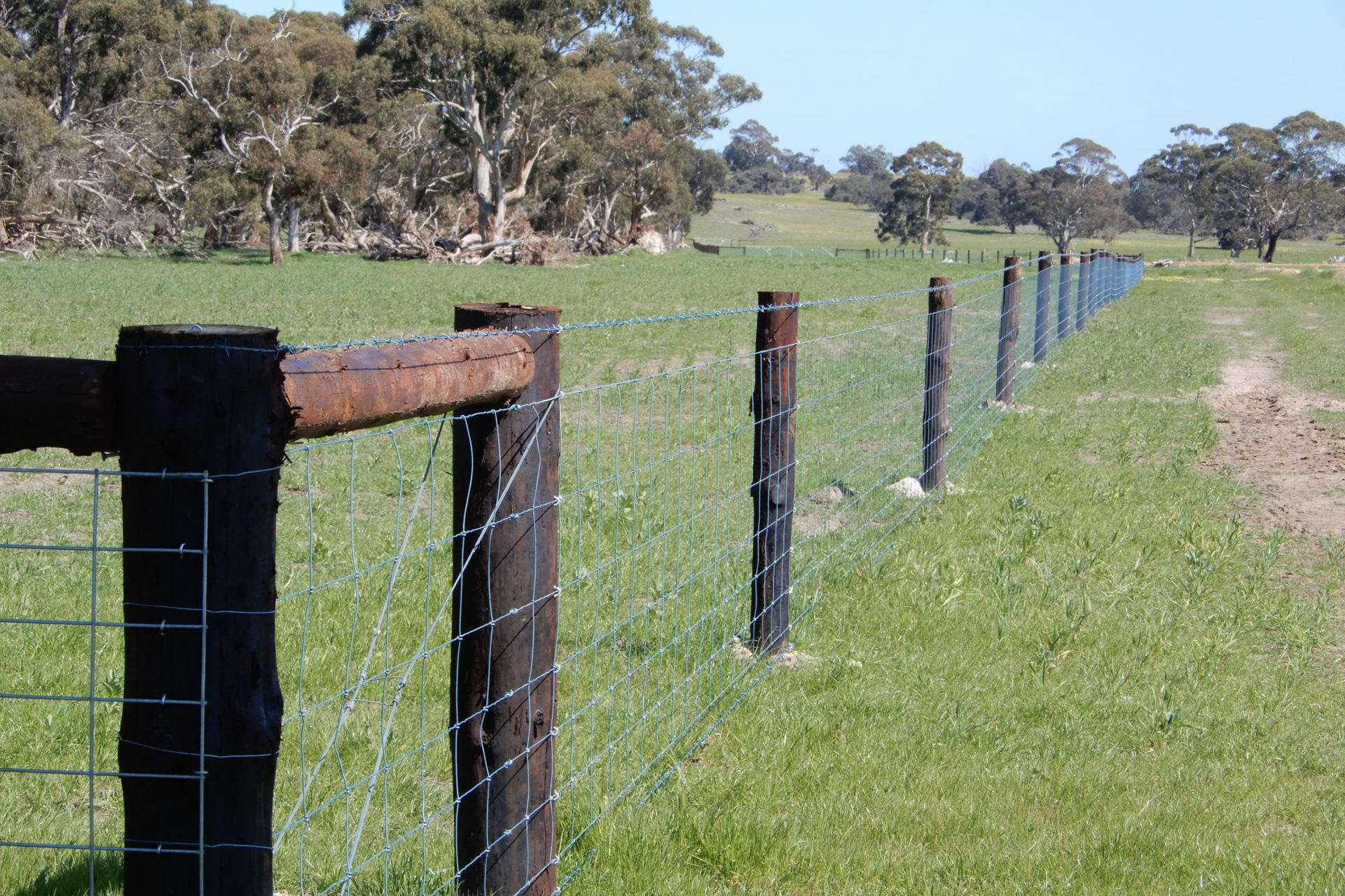 3692 Riddoch Highway, Willalooka For Sale by Farmbuy.com - image 13