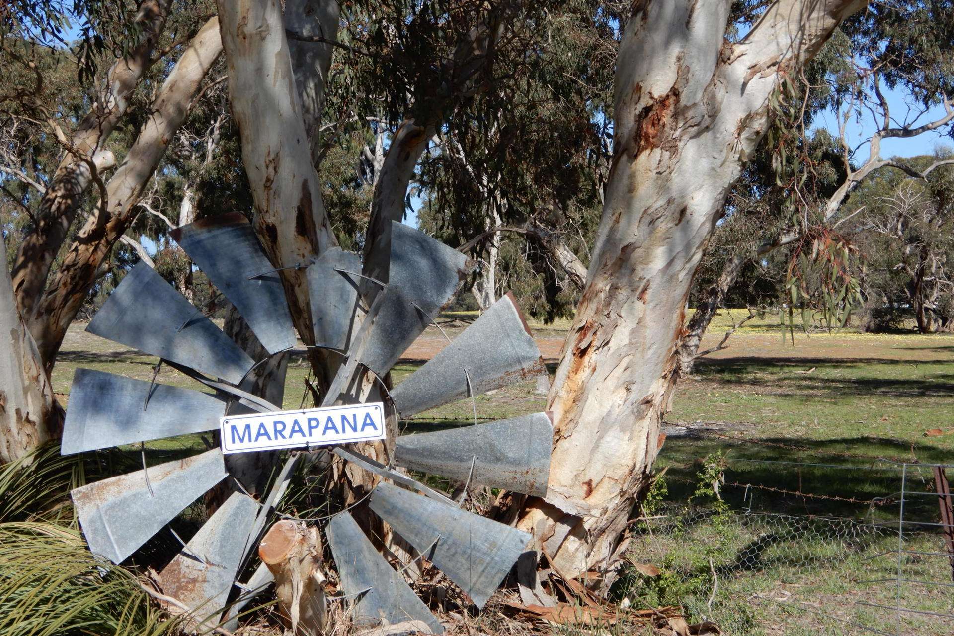 3692 Riddoch Highway, Willalooka For Sale by Farmbuy.com - image 22