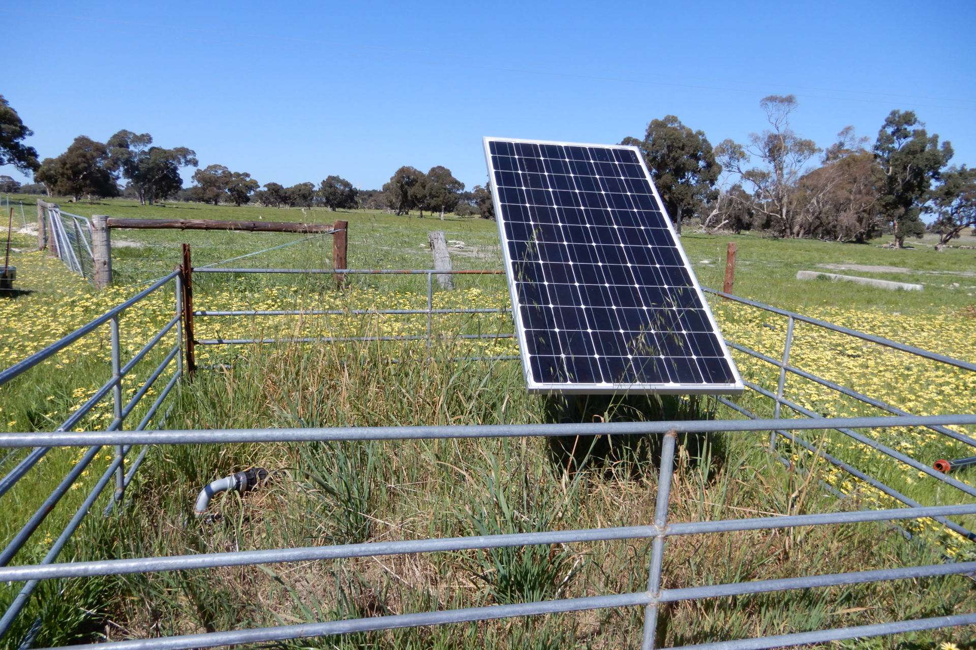 3692 Riddoch Highway, Willalooka For Sale by Farmbuy.com - image 12