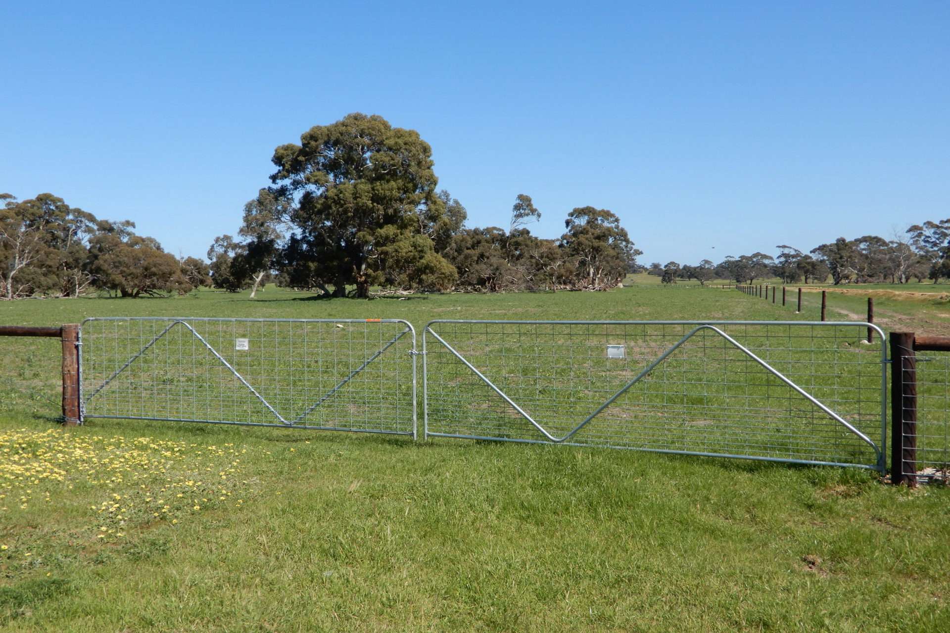 3692 Riddoch Highway, Willalooka For Sale by Farmbuy.com - image 20