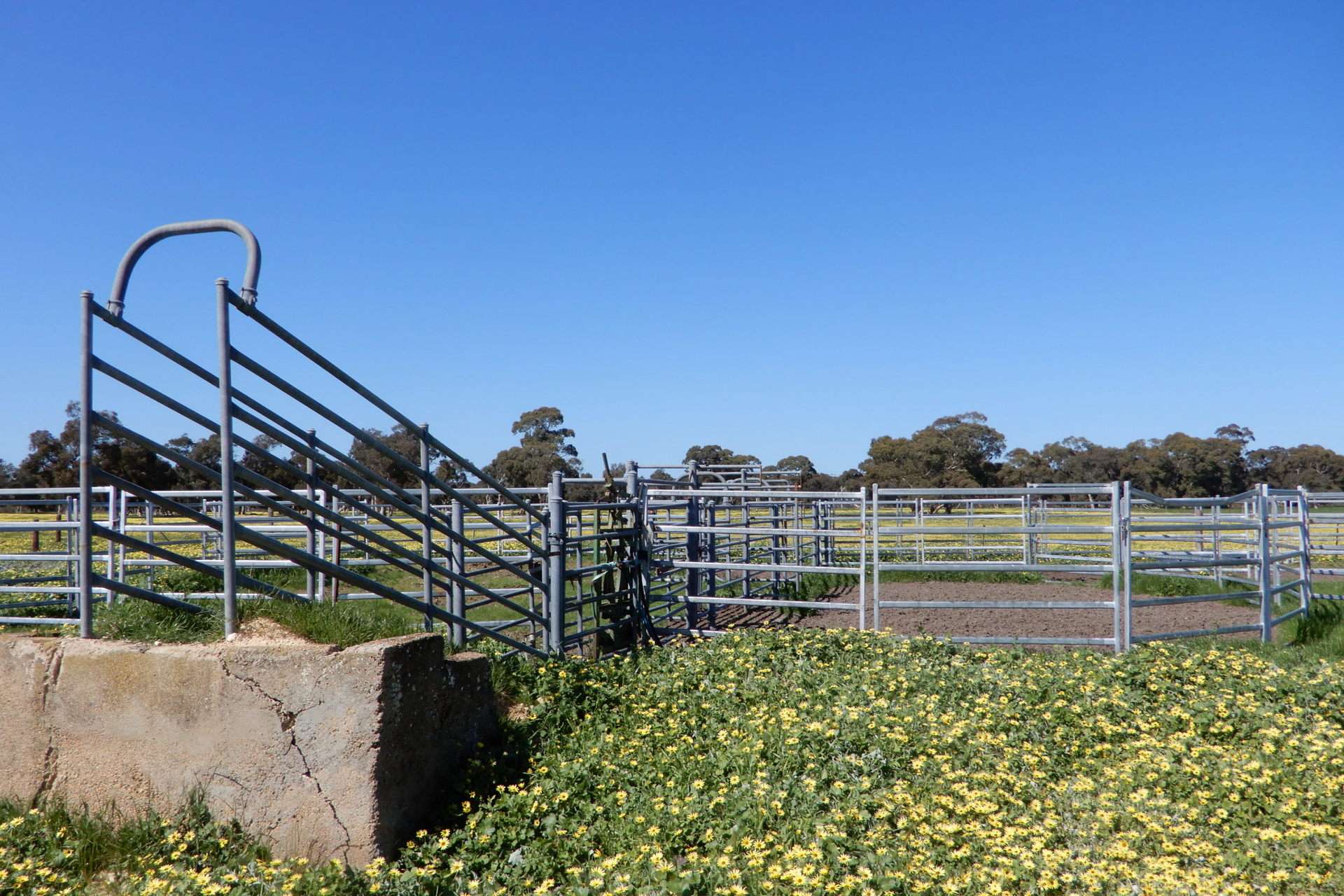 3692 Riddoch Highway, Willalooka For Sale by Farmbuy.com - image 11