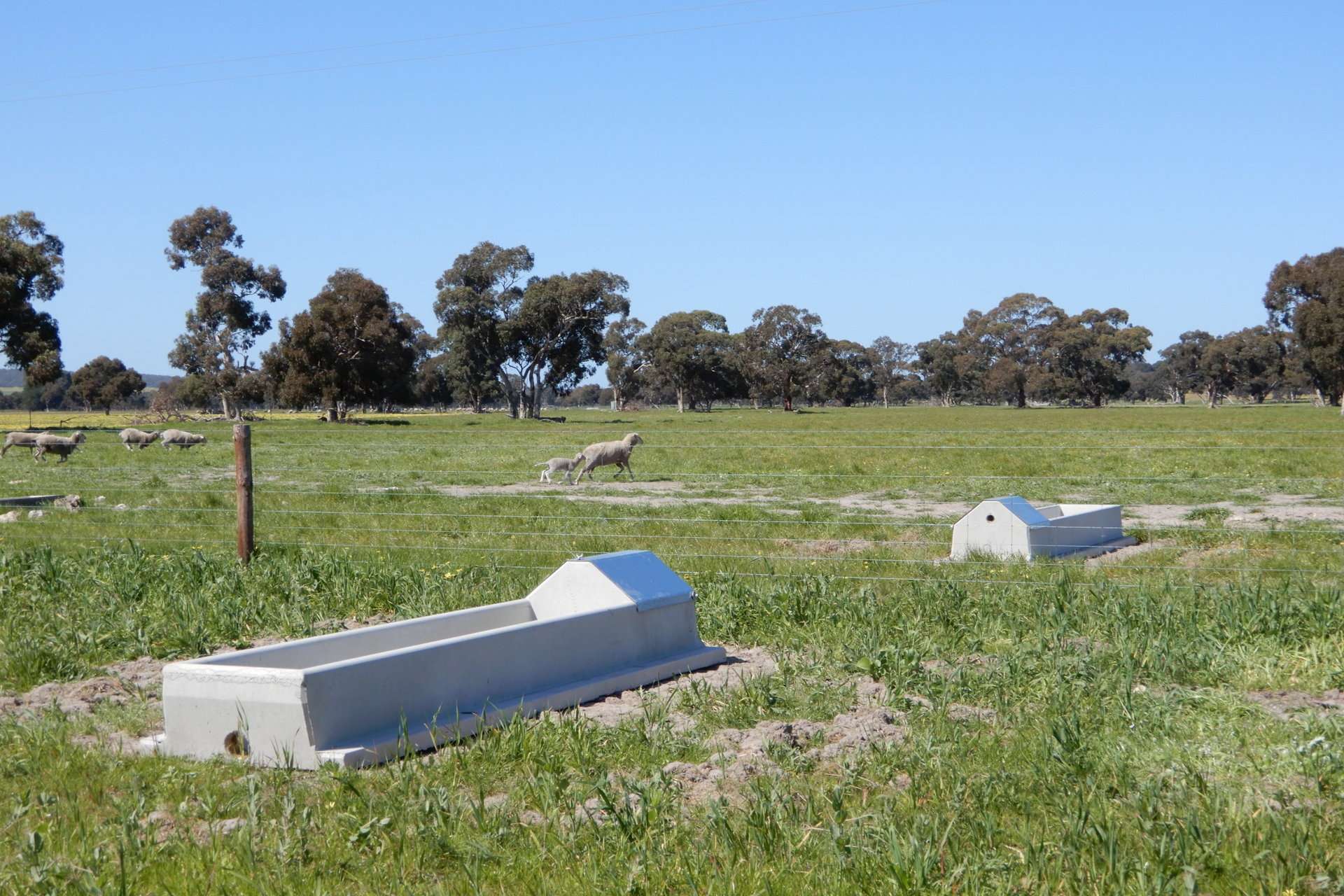 3692 Riddoch Highway, Willalooka For Sale by Farmbuy.com - image 14