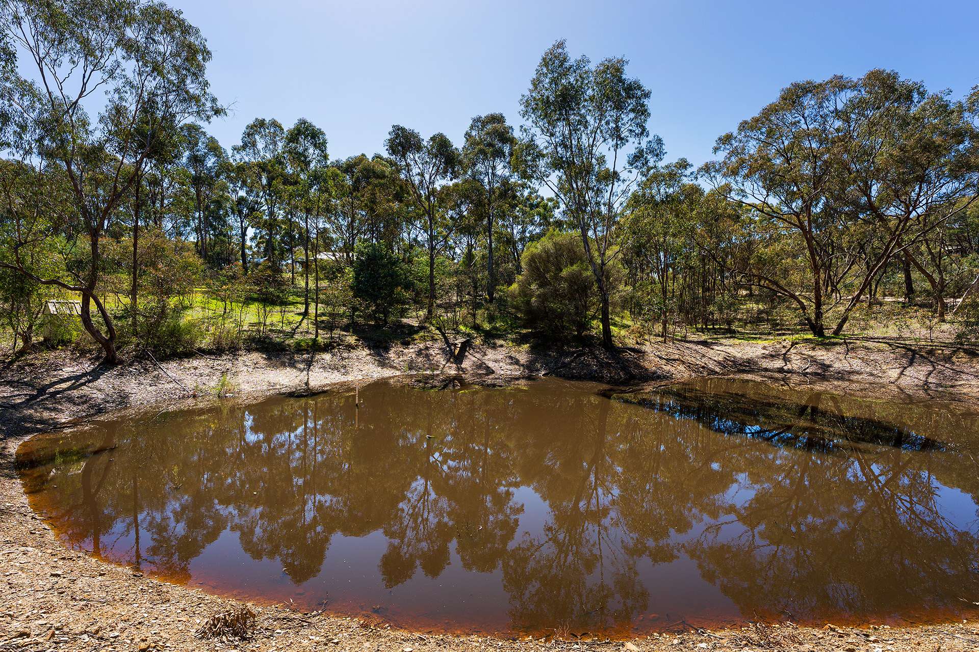 257 Blakeley Road, Castlemaine For Sale by Farmbuy.com - image 20