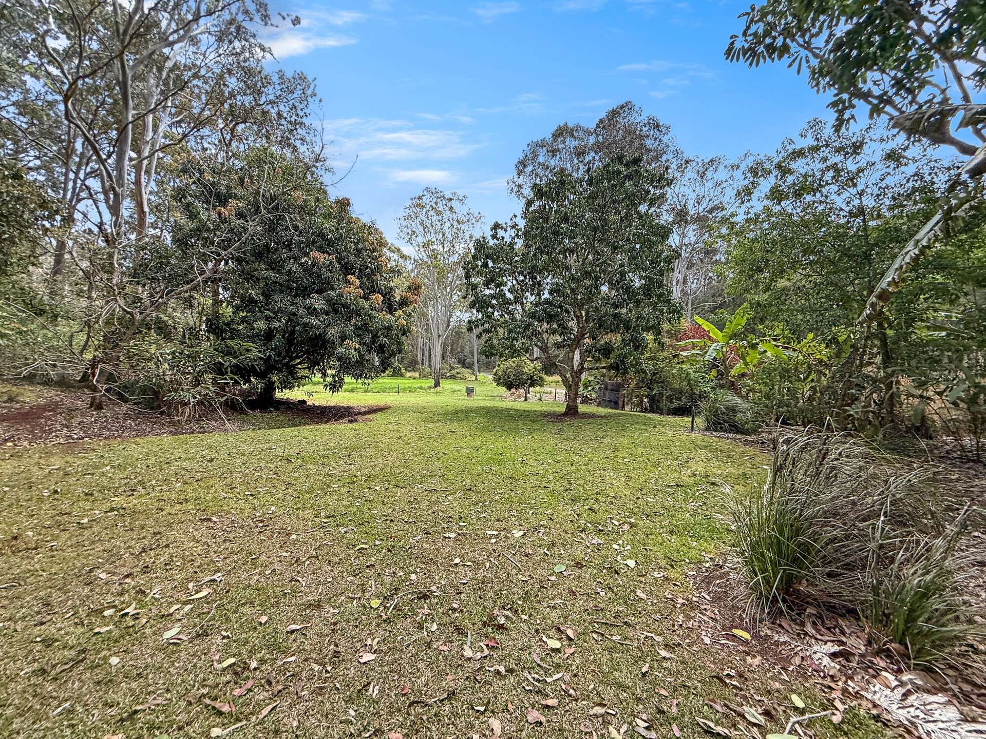 19 ZINGELMANN ROAD, Wondecla For Sale by Farmbuy.com - image 24