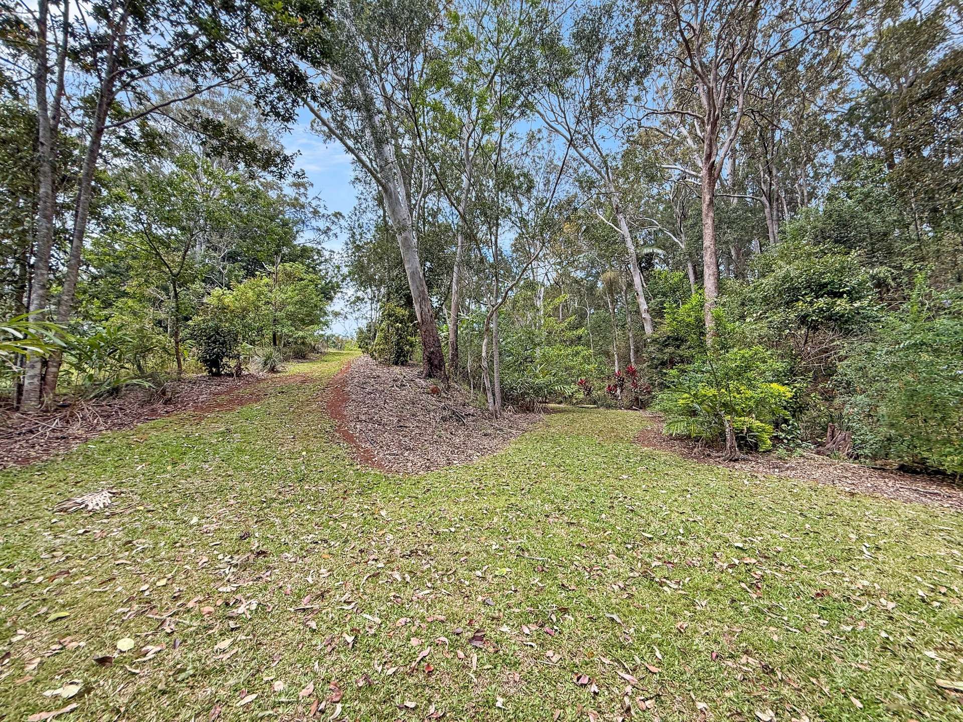19 ZINGELMANN ROAD, Wondecla For Sale by Farmbuy.com - image 20