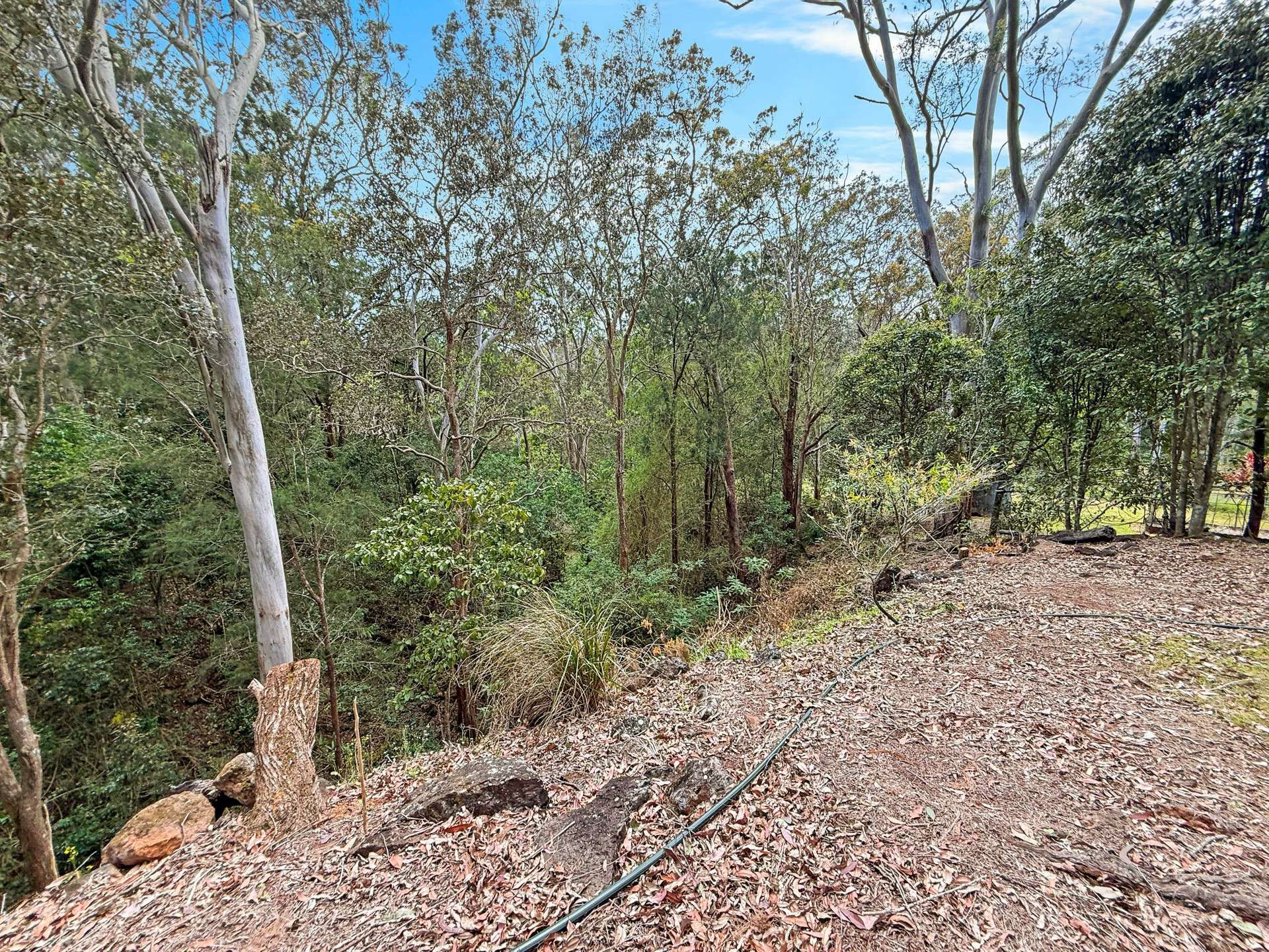 19 ZINGELMANN ROAD, Wondecla For Sale by Farmbuy.com - image 21