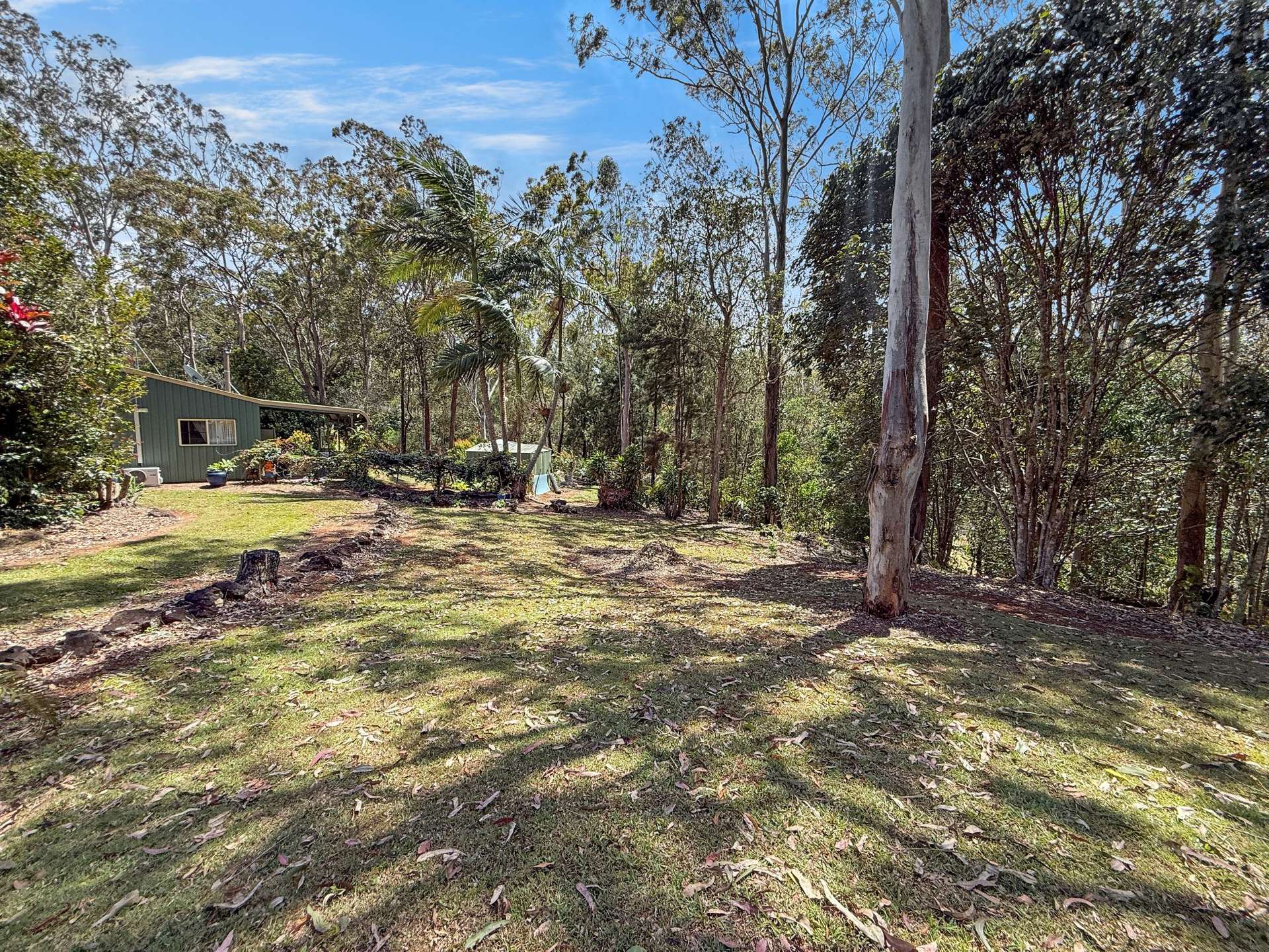 19 ZINGELMANN ROAD, Wondecla For Sale by Farmbuy.com - image 17