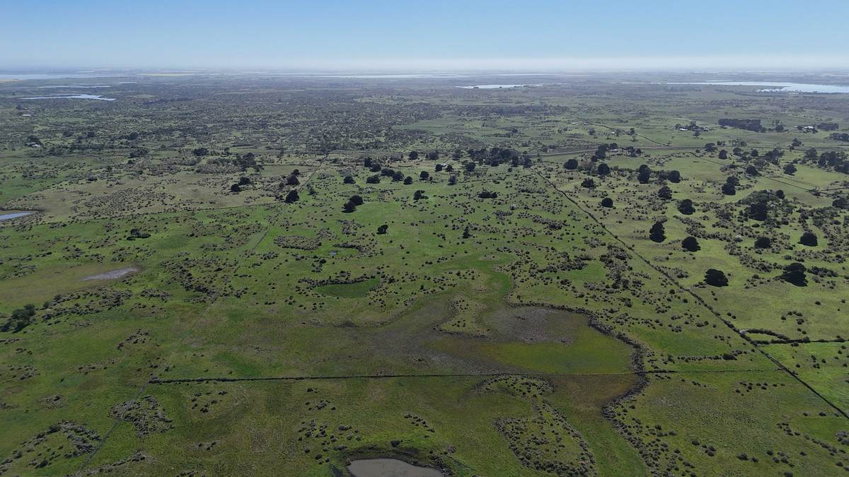 330 Beeac-Dreeite Road, Beeac For Sale by Farmbuy.com - image 15