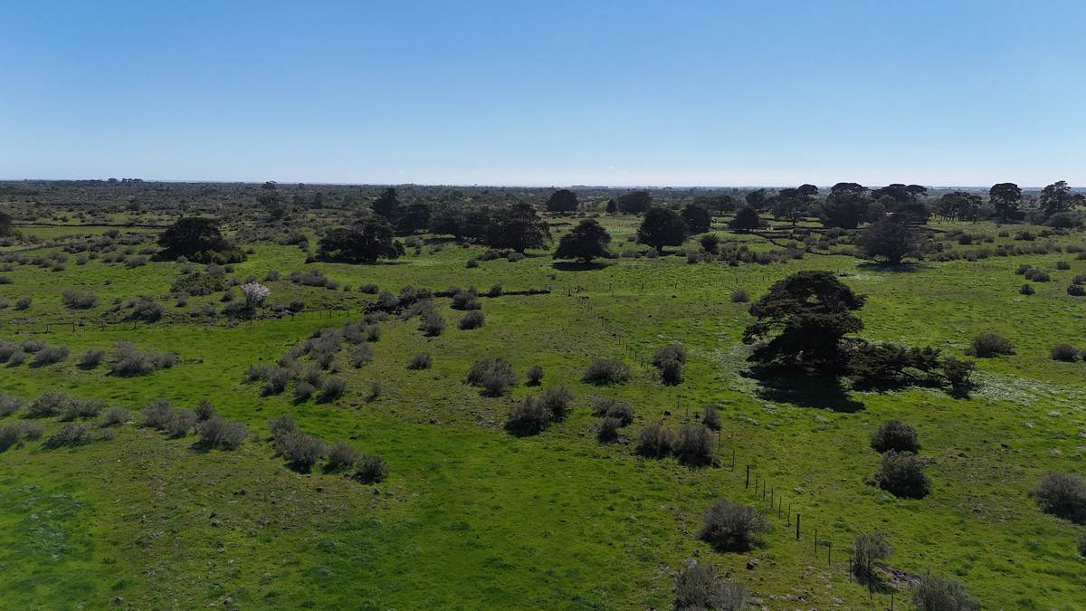 330 Beeac-Dreeite Road, Beeac For Sale by Farmbuy.com - image 9