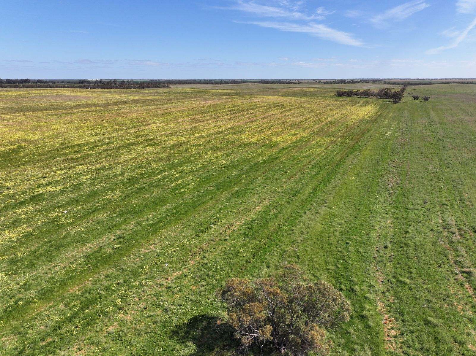 Lots 5 & 6 Mallee Highway, Ouyen Auction by Farmbuy.com - image 13