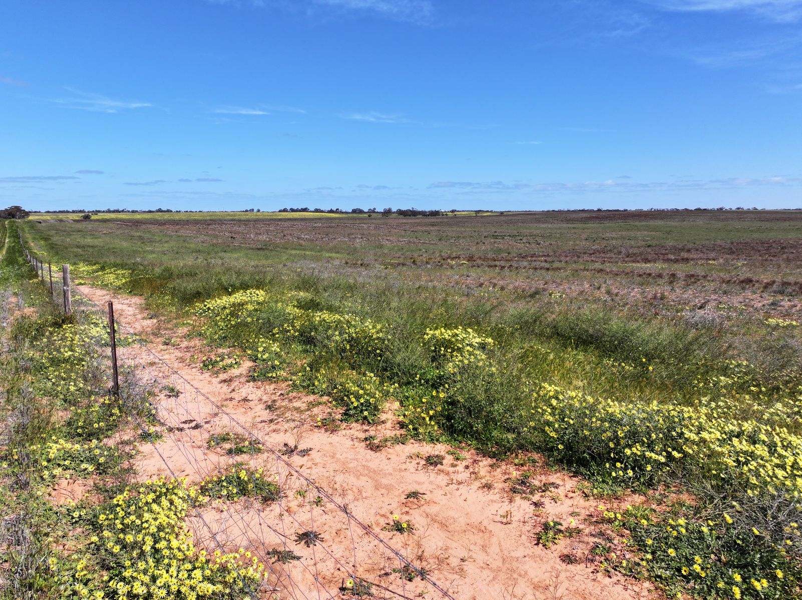 Lots 5 & 6 Mallee Highway, Ouyen Auction by Farmbuy.com - image 6