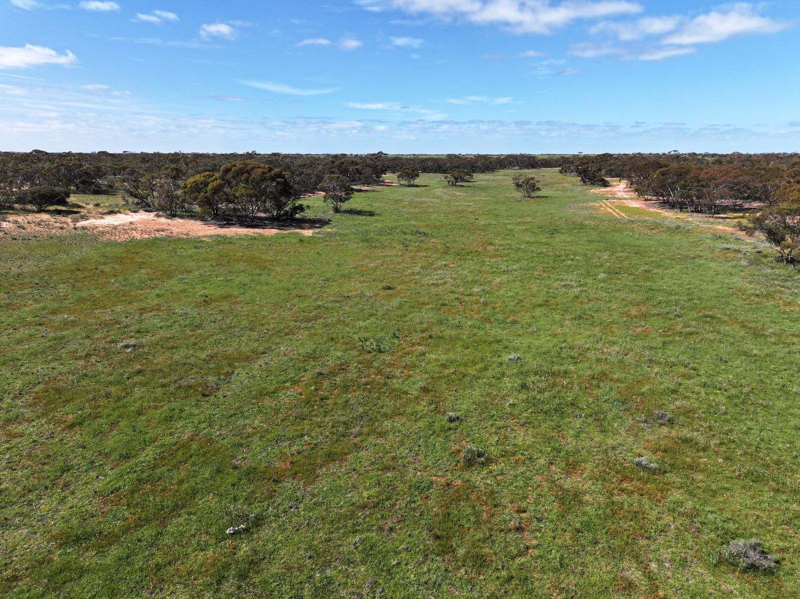 Lots 5 & 6 Mallee Highway, Ouyen Auction by Farmbuy.com - image 19