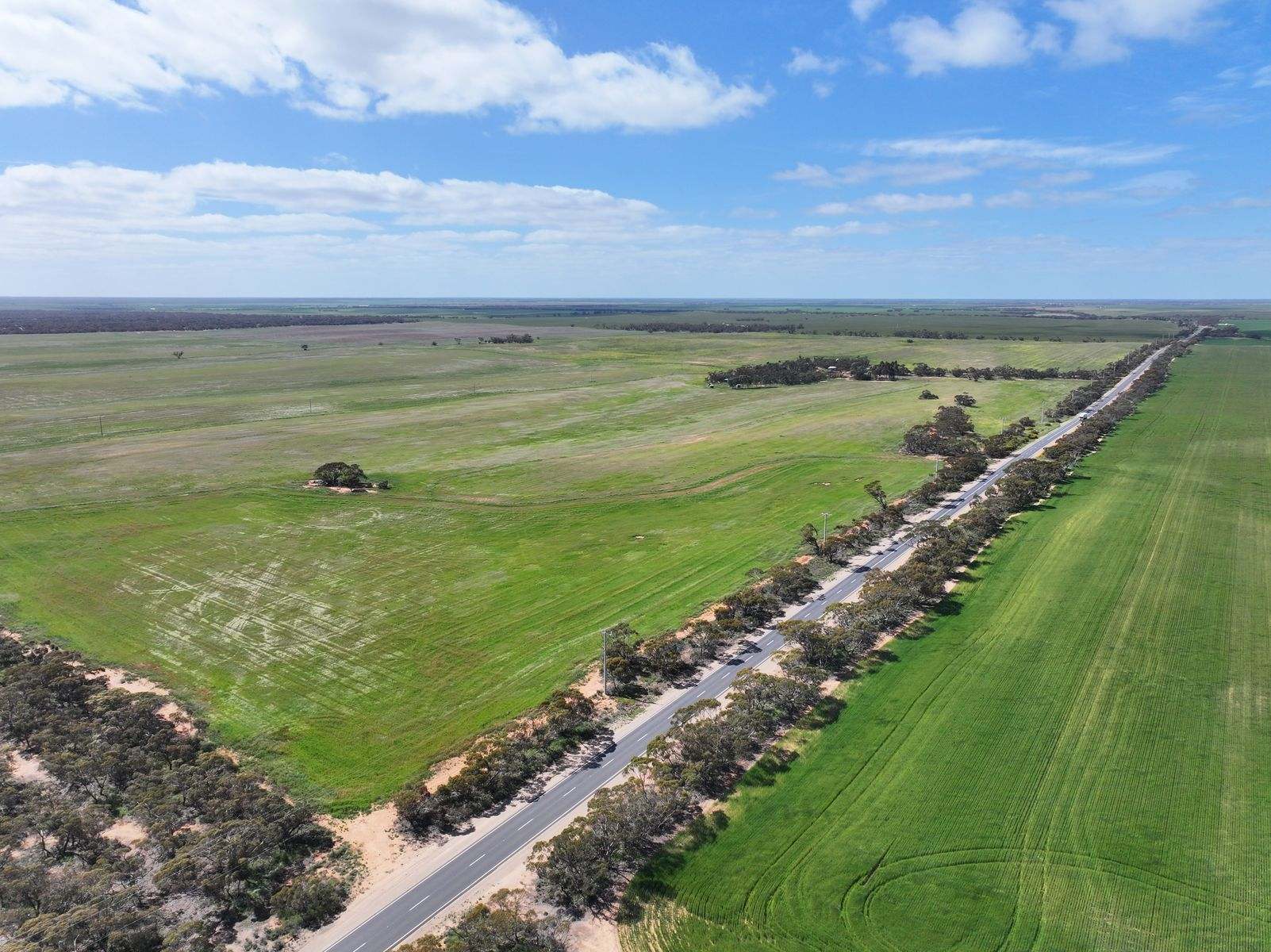 Lots 5 & 6 Mallee Highway, Ouyen Auction by Farmbuy.com - image 1