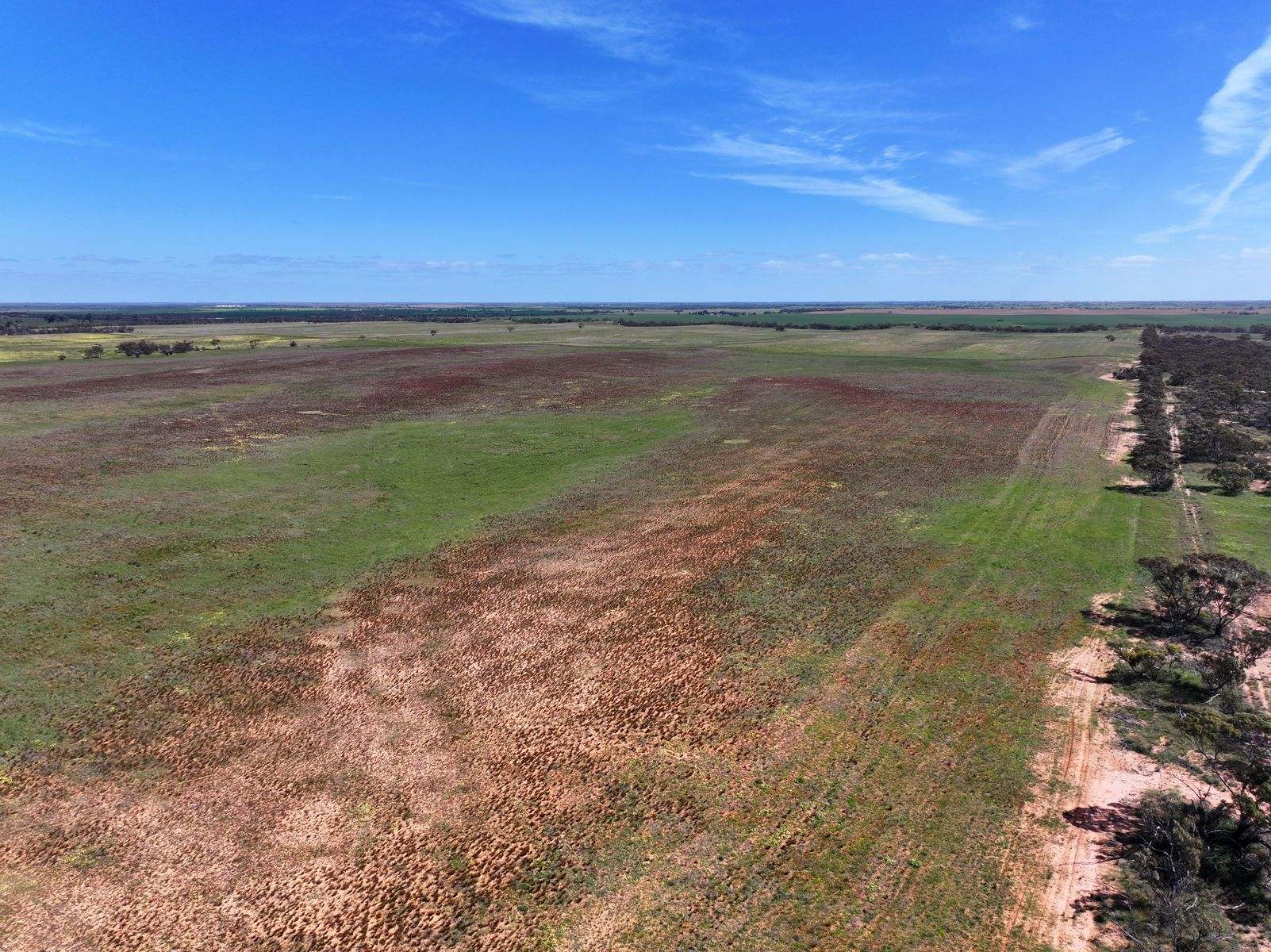 Lots 5 & 6 Mallee Highway, Ouyen Auction by Farmbuy.com - image 5