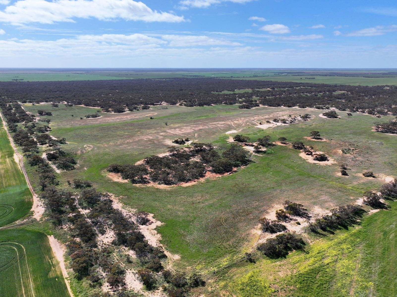 Lots 5 & 6 Mallee Highway, Ouyen Auction by Farmbuy.com - image 20