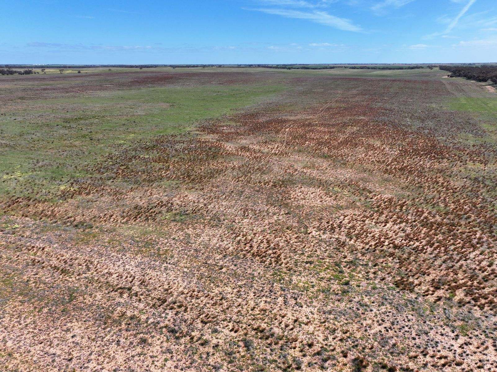 Lots 5 & 6 Mallee Highway, Ouyen Auction by Farmbuy.com - image 18
