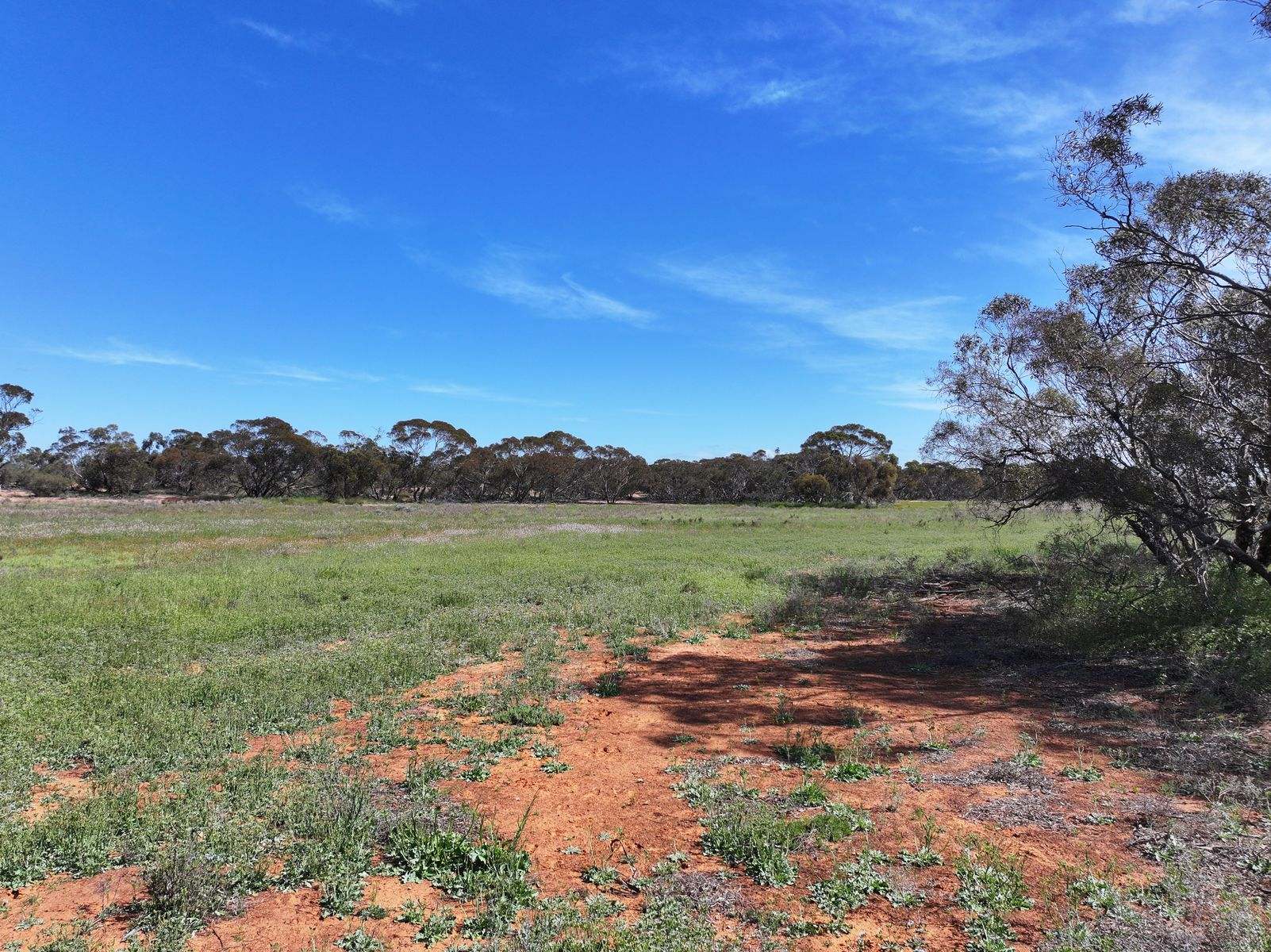 Lots 5 & 6 Mallee Highway, Ouyen Auction by Farmbuy.com - image 7