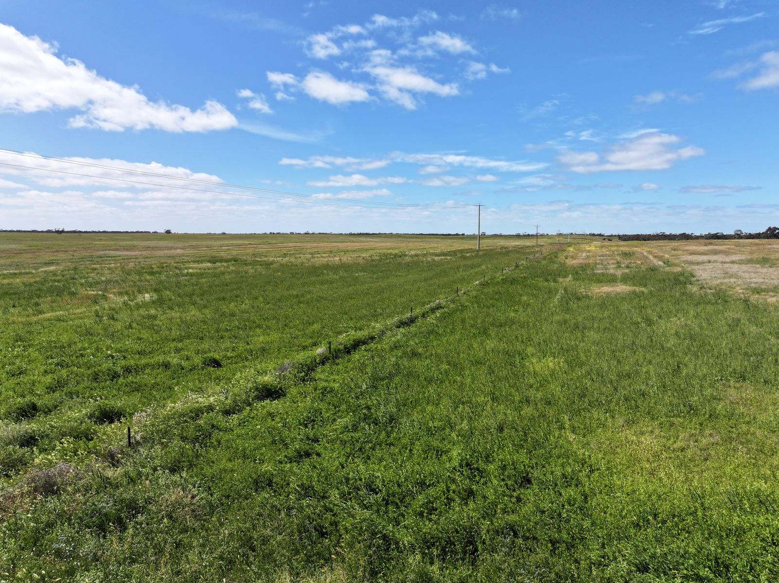 Lots 5 & 6 Mallee Highway, Ouyen Auction by Farmbuy.com - image 12