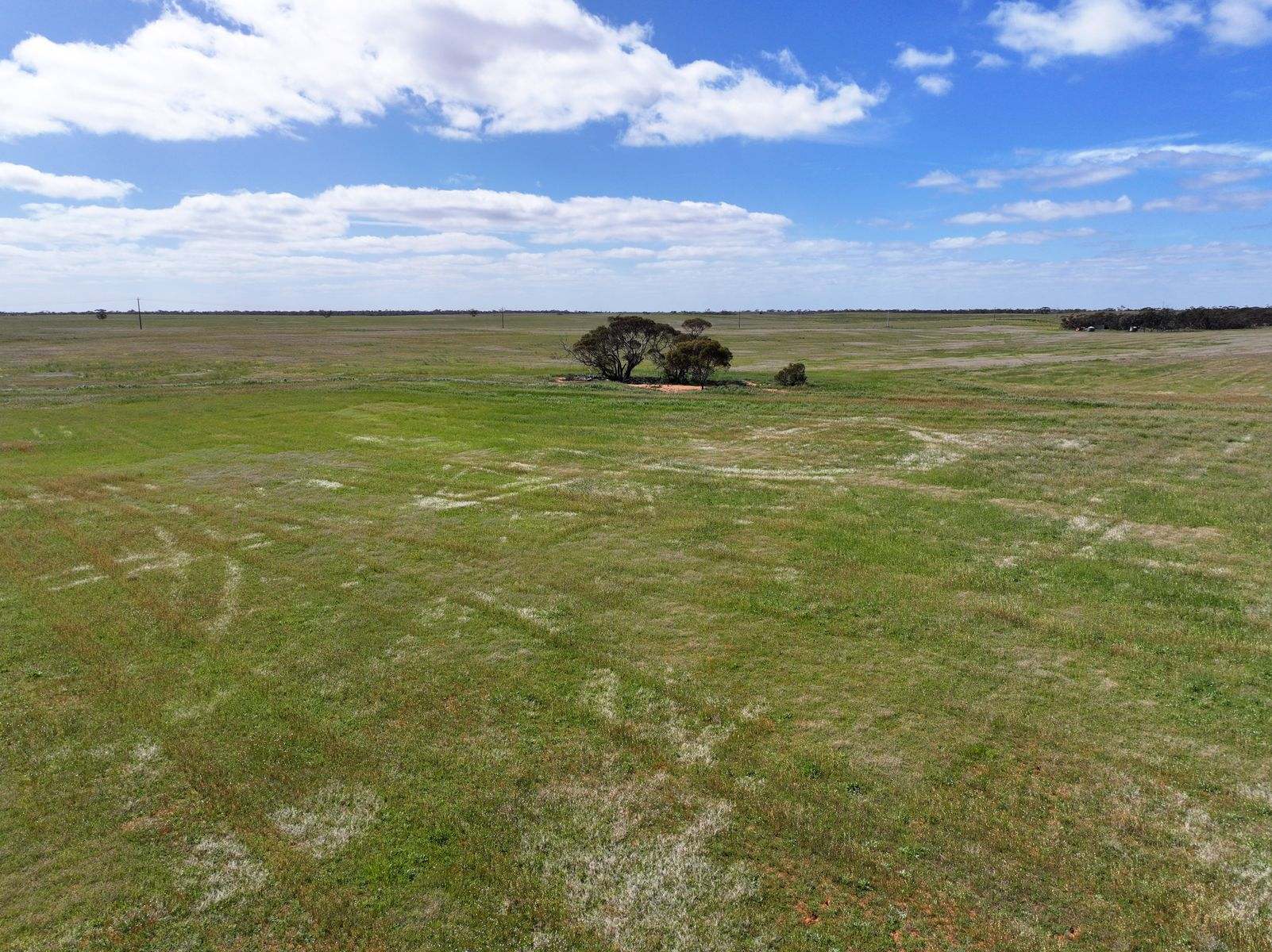 Lots 5 & 6 Mallee Highway, Ouyen Auction by Farmbuy.com - image 15