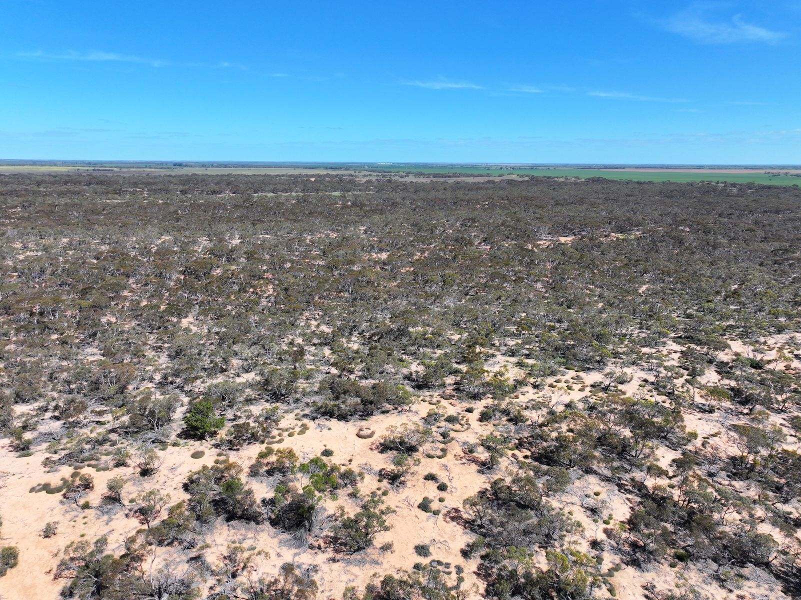 Lots 5 & 6 Mallee Highway, Ouyen Auction by Farmbuy.com - image 9
