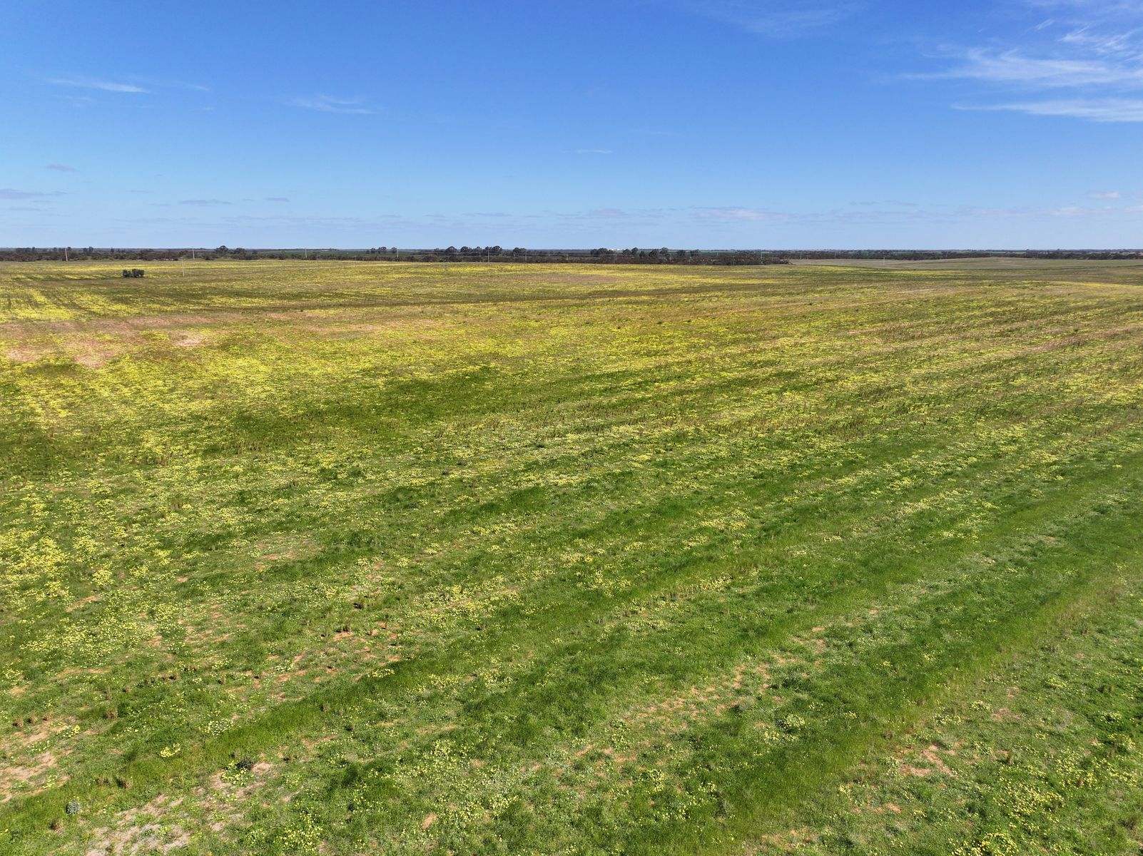 Lots 5 & 6 Mallee Highway, Ouyen Auction by Farmbuy.com - image 4