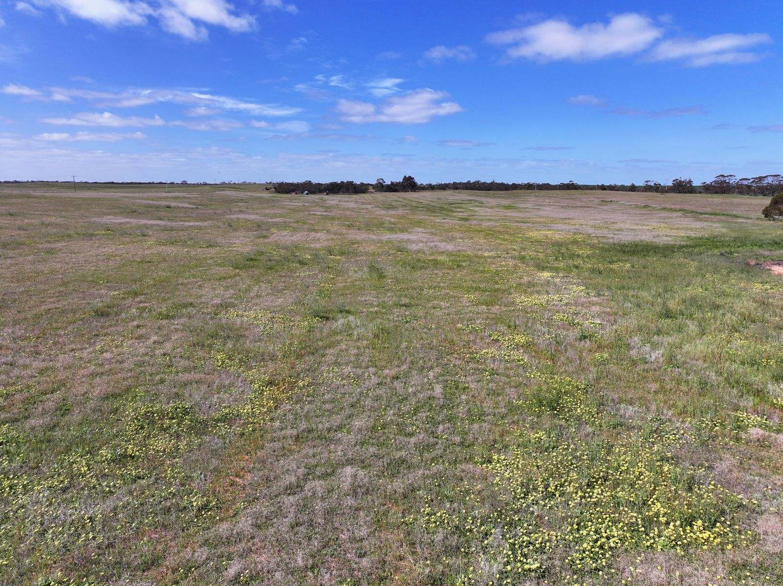 Lots 5 & 6 Mallee Highway, Ouyen Auction by Farmbuy.com - image 14