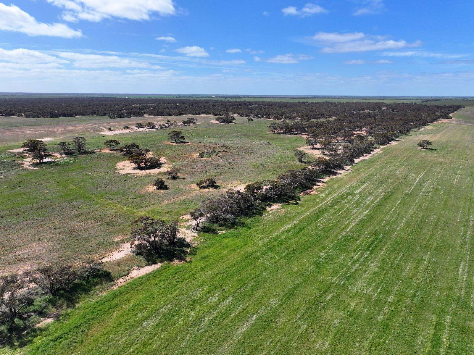 Lots 5 & 6 Mallee Highway, Ouyen Auction by Farmbuy.com - image 11