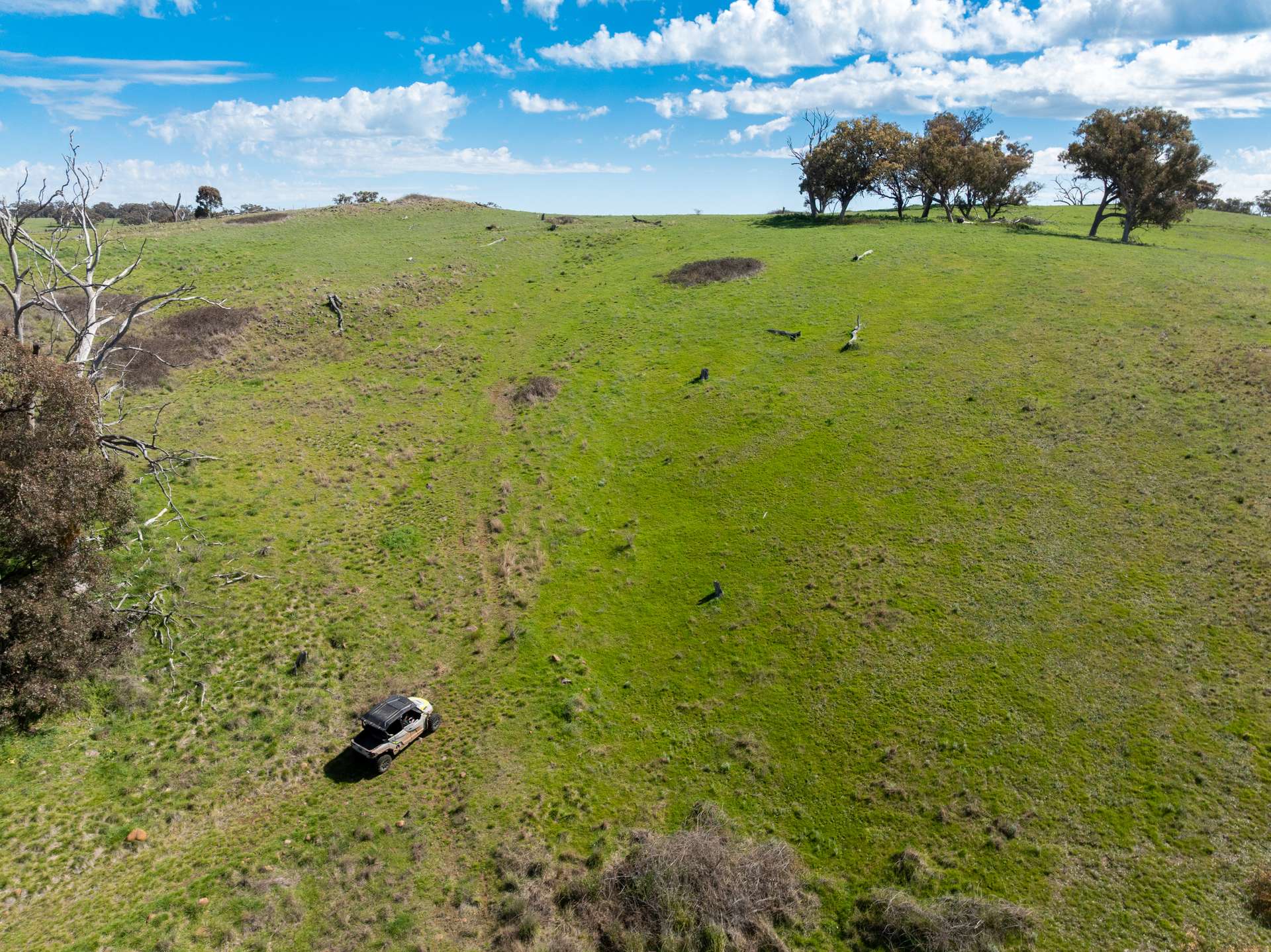'Pemberley' 57 Bunyarra Lane, Orange Auction by Farmbuy.com - image 16