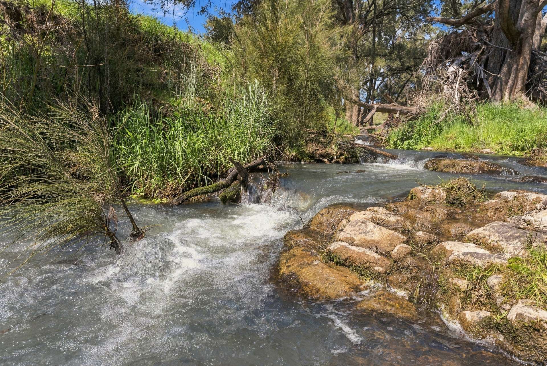 'Pemberley' 57 Bunyarra Lane, Orange Auction by Farmbuy.com - image 15