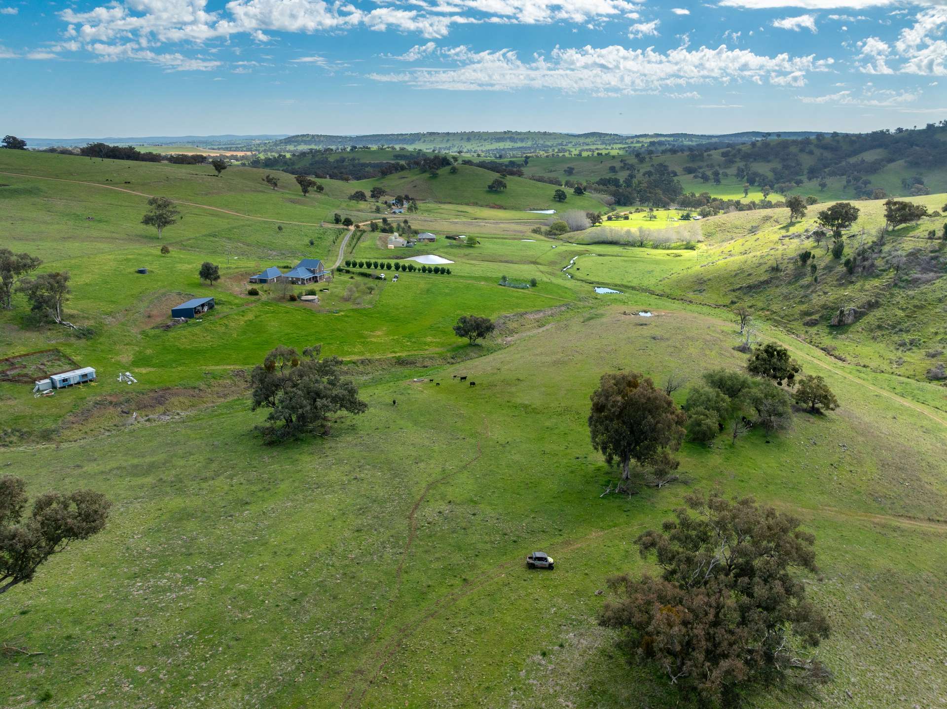 'Pemberley' 57 Bunyarra Lane, Orange Auction by Farmbuy.com - image 18
