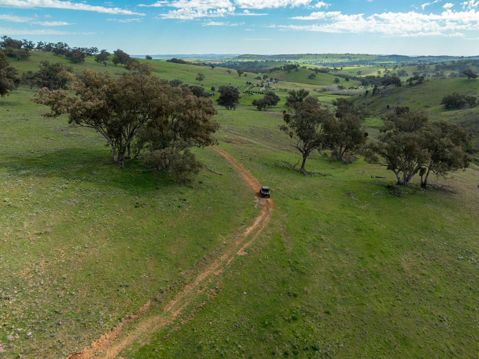 'Pemberley' 57 Bunyarra Lane, Orange Auction by Farmbuy.com - image 17