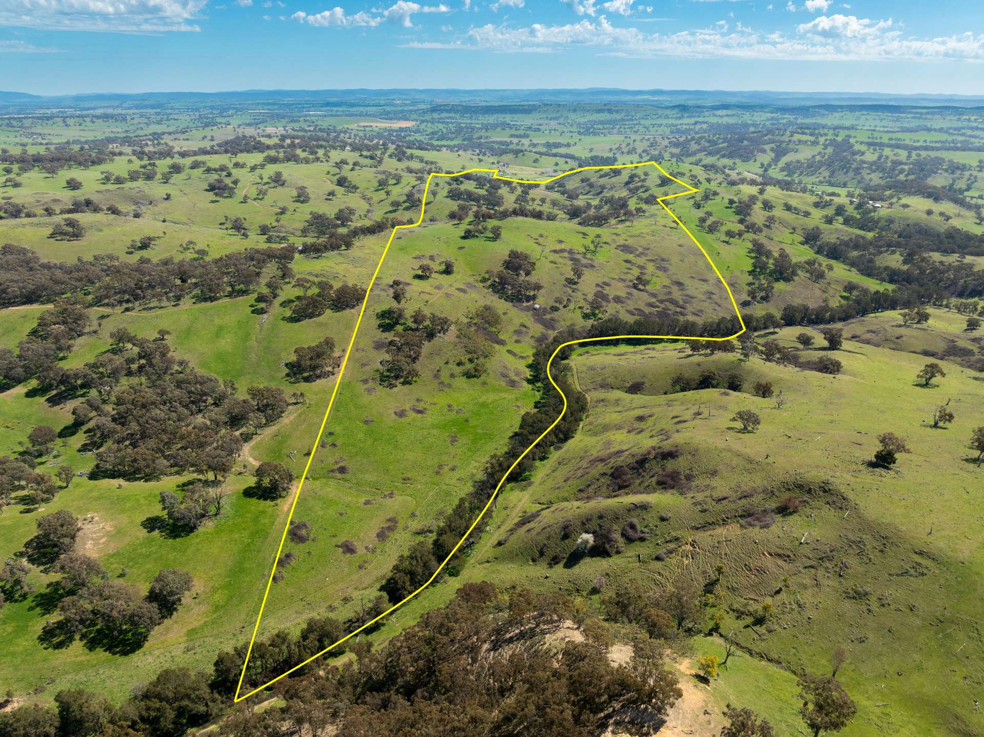 'Pemberley' 57 Bunyarra Lane, Orange Auction by Farmbuy.com - image 11