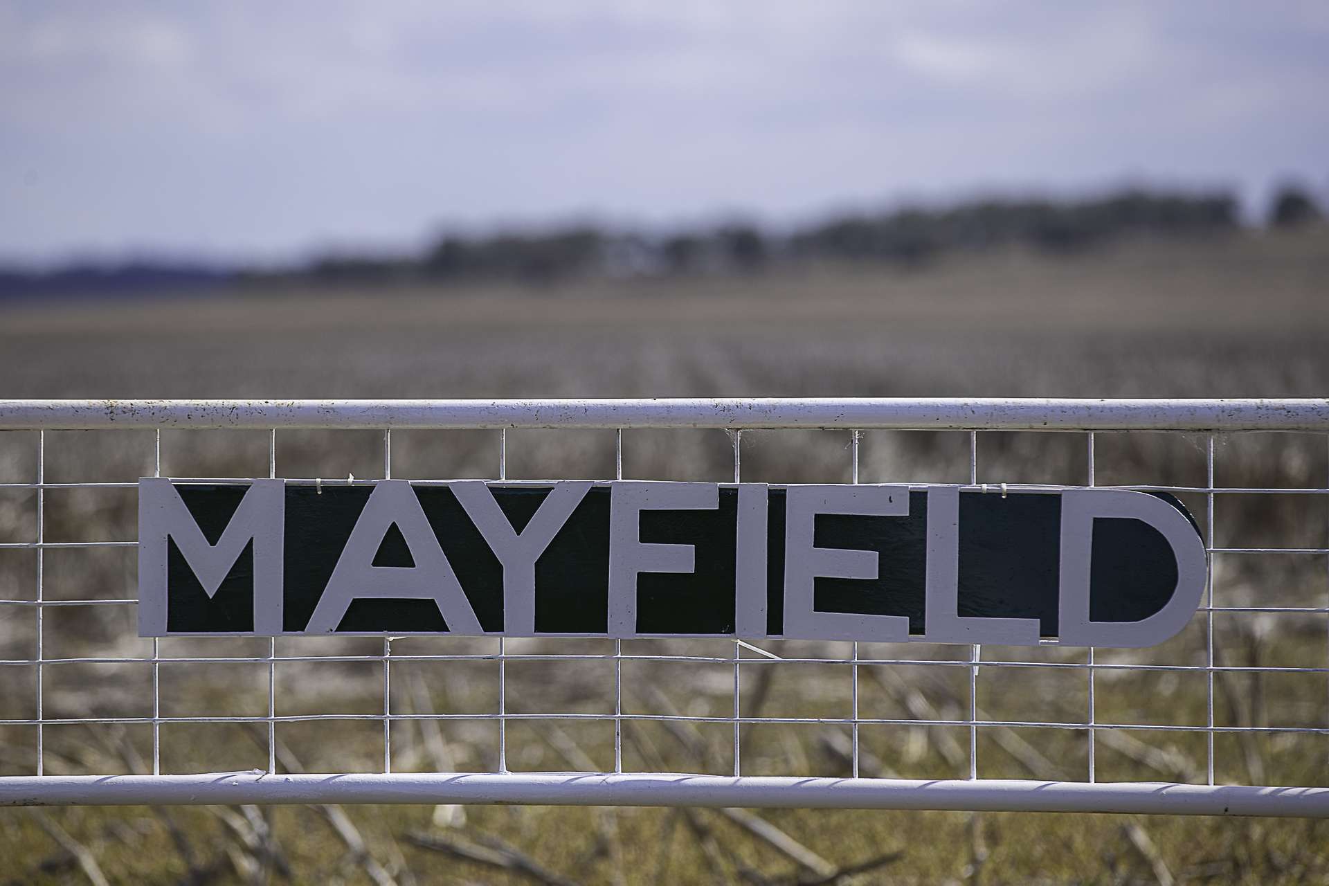 'Mayfield' 2674 Toowoomba Karara Road, Felton Auction by Farmbuy.com - image 32