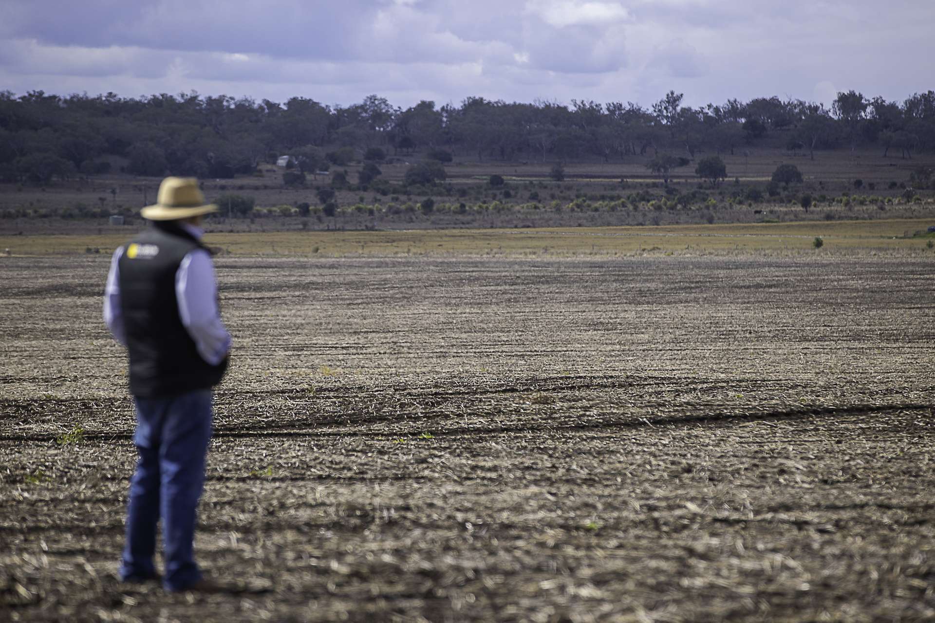 "Dooley's Plain" Toowoomba Cecil Plains Road, Aubigny Auction by Farmbuy.com - image 14