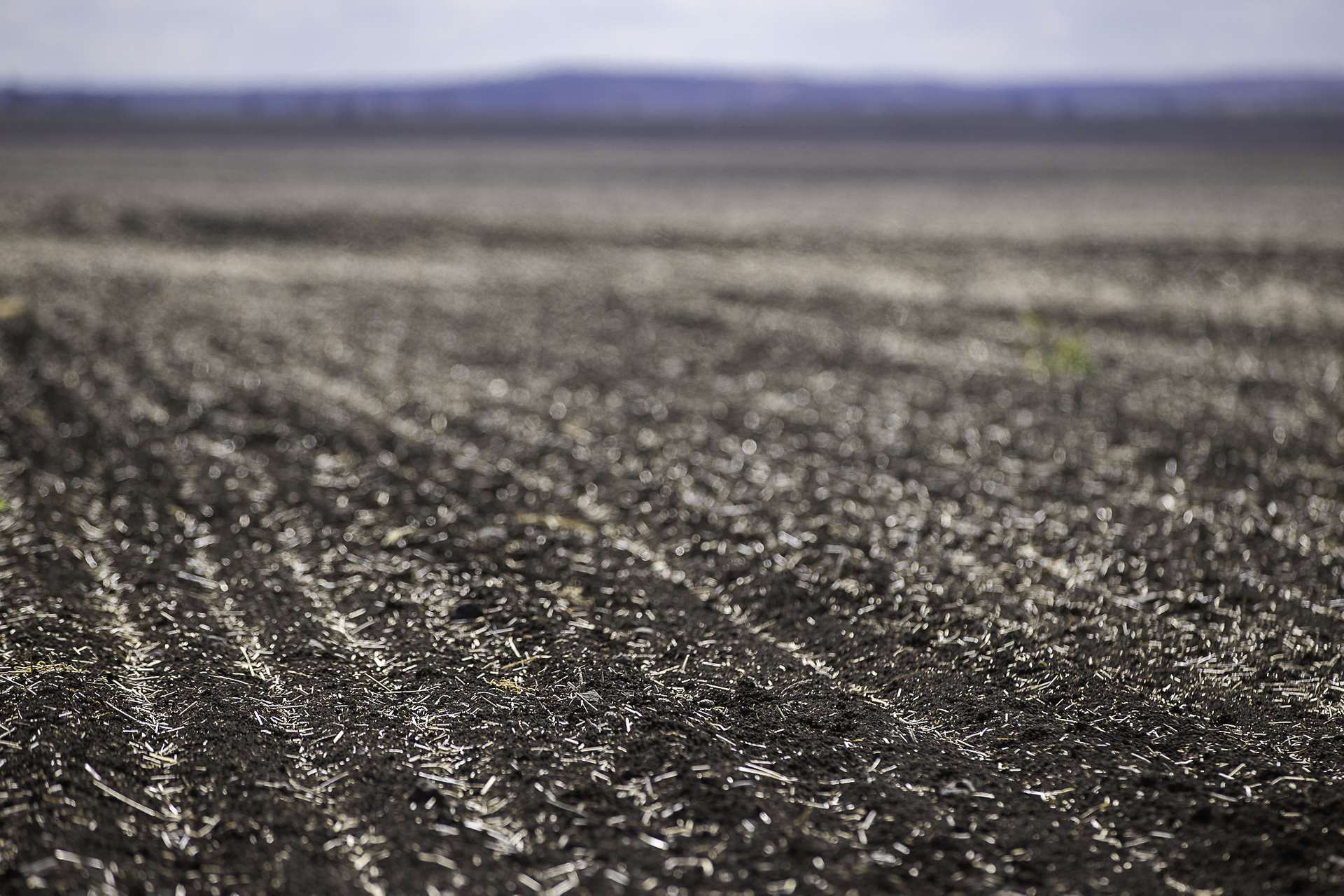 "Dooley's Plain" Toowoomba Cecil Plains Road, Aubigny Auction by Farmbuy.com - image 11