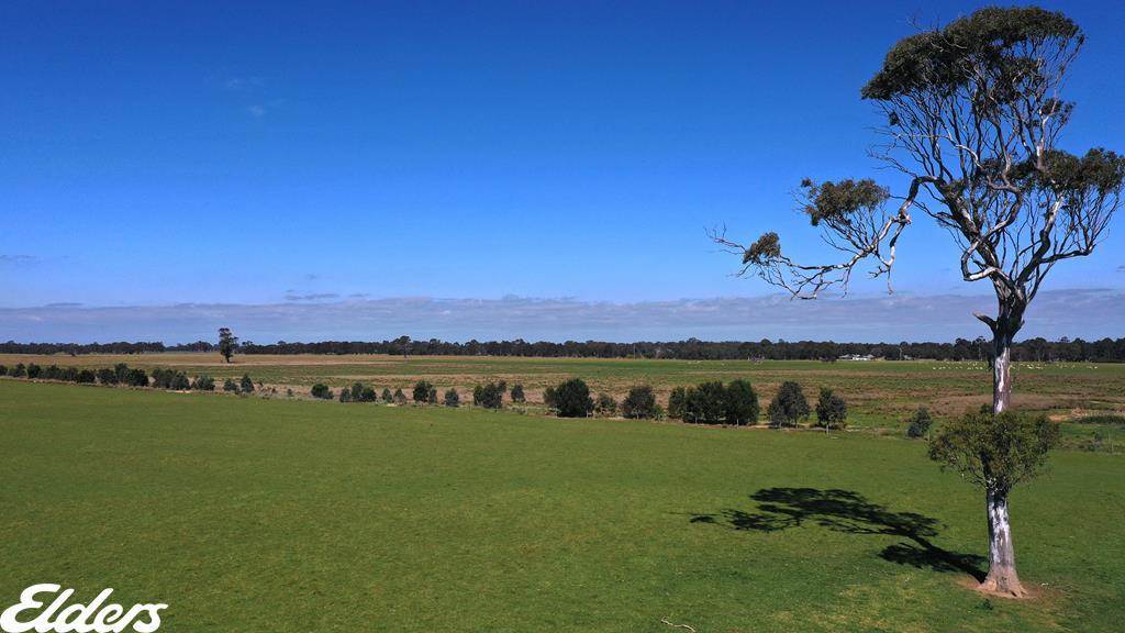 209 Gooch Road, Stratford For Sale by Farmbuy.com - image 1