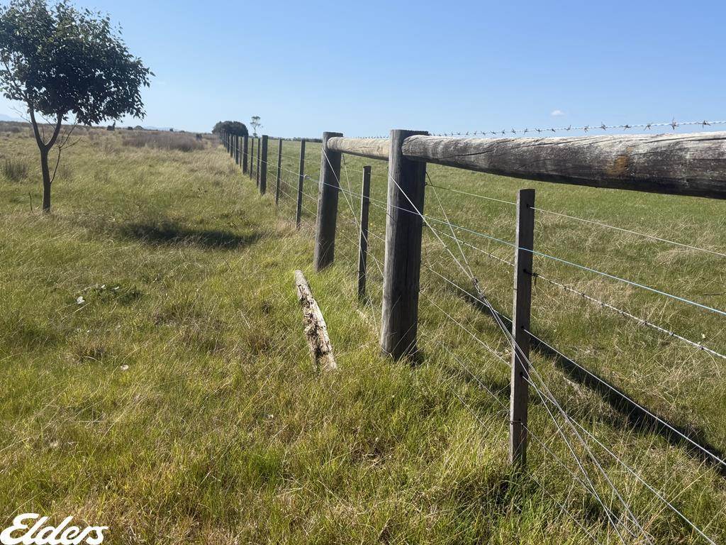 209 Gooch Road, Stratford For Sale by Farmbuy.com - image 13