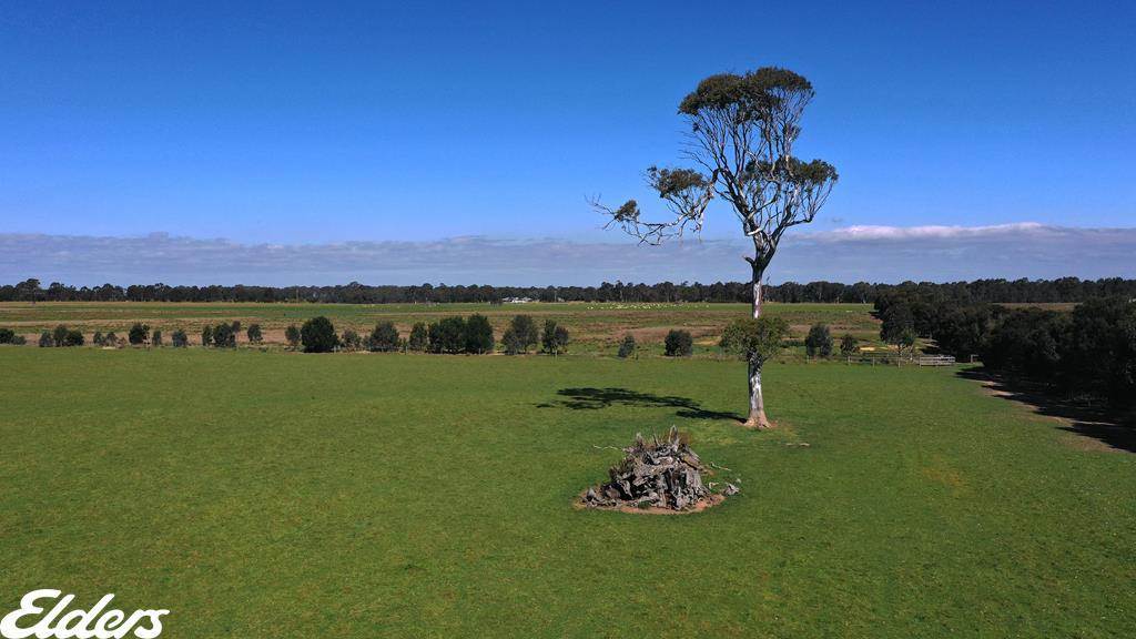 209 Gooch Road, Stratford For Sale by Farmbuy.com - image 6