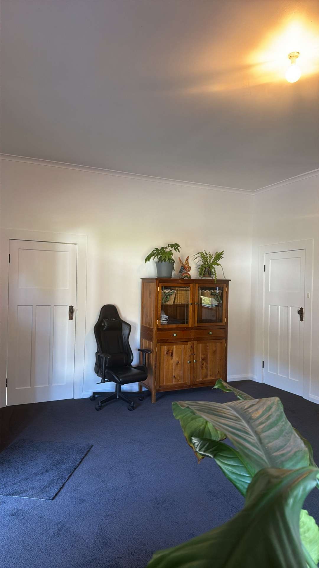 321 South Elliott Road, Elliott For Sale by Farmbuy.com - image 21