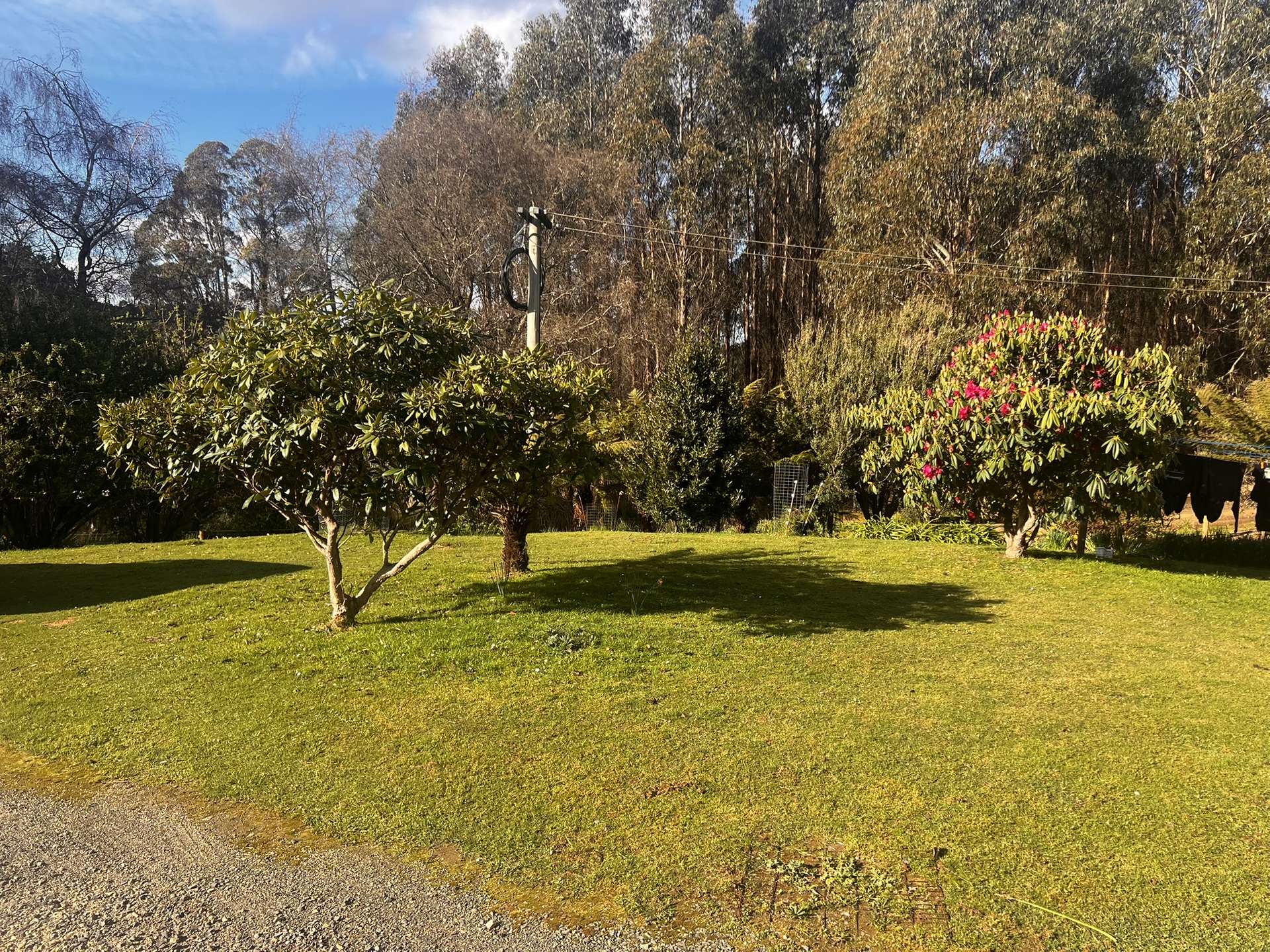 321 South Elliott Road, Elliott For Sale by Farmbuy.com - image 23
