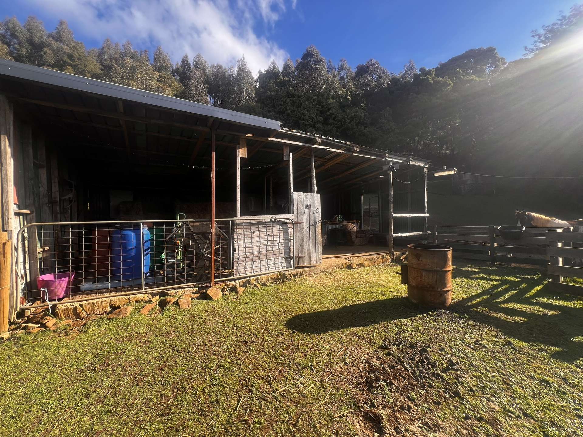 321 South Elliott Road, Elliott For Sale by Farmbuy.com - image 33