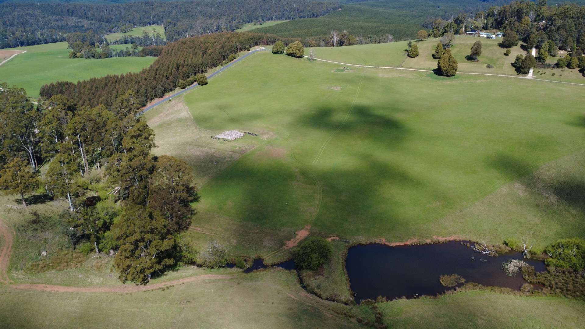 Lot 1,  Dawkins Road, Beulah For Sale by Farmbuy.com - image 10